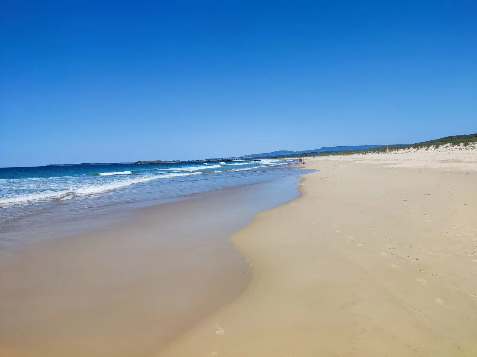 Windang Dog Beach dog-friendly beach