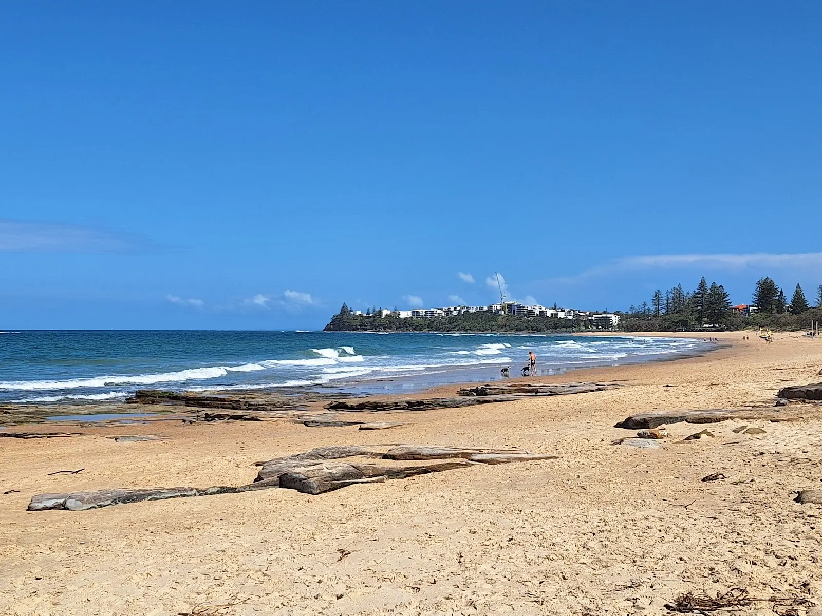 Currimundi Beach Access Point 255-262 Dog Off Leash Area dog-friendly beach