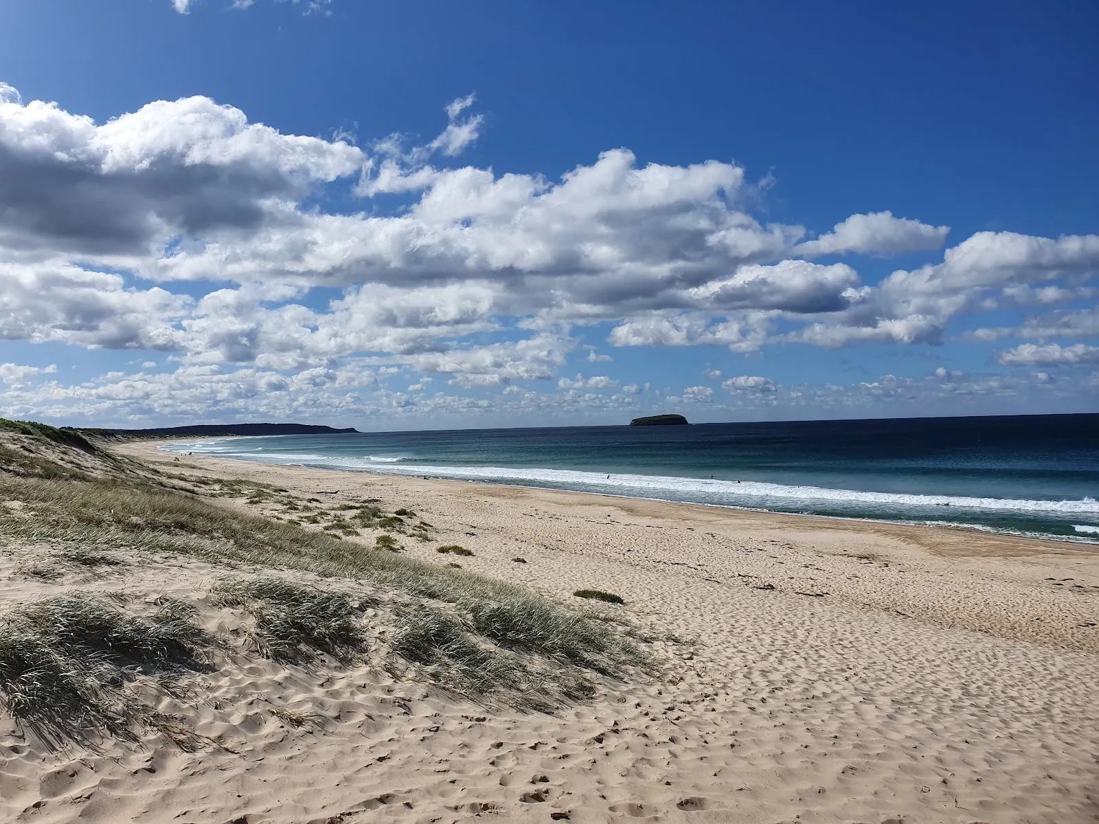 Budgewoi Dog Beach dog-friendly beach