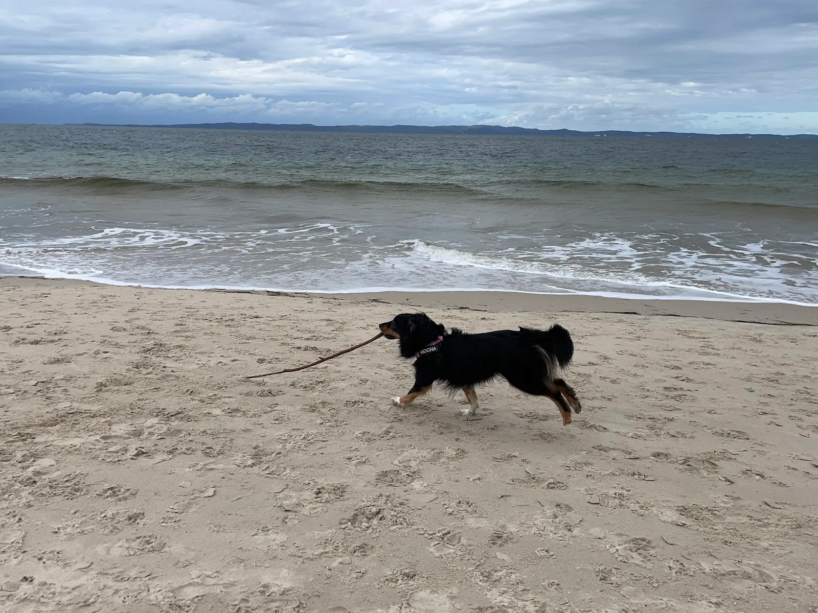 Woorim Dog Beach, Woorim