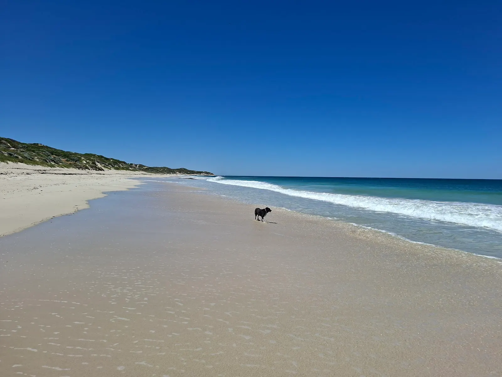 Yanchep Dog Beach dog-friendly beach