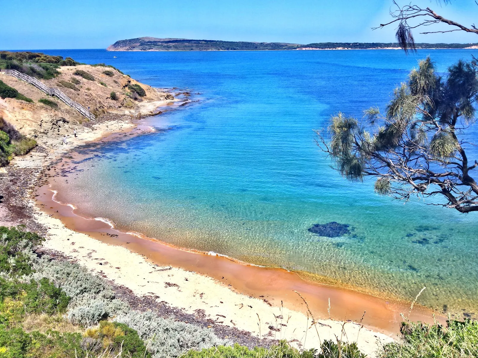 Dog Friendly Beach - San Remo dog-friendly beach