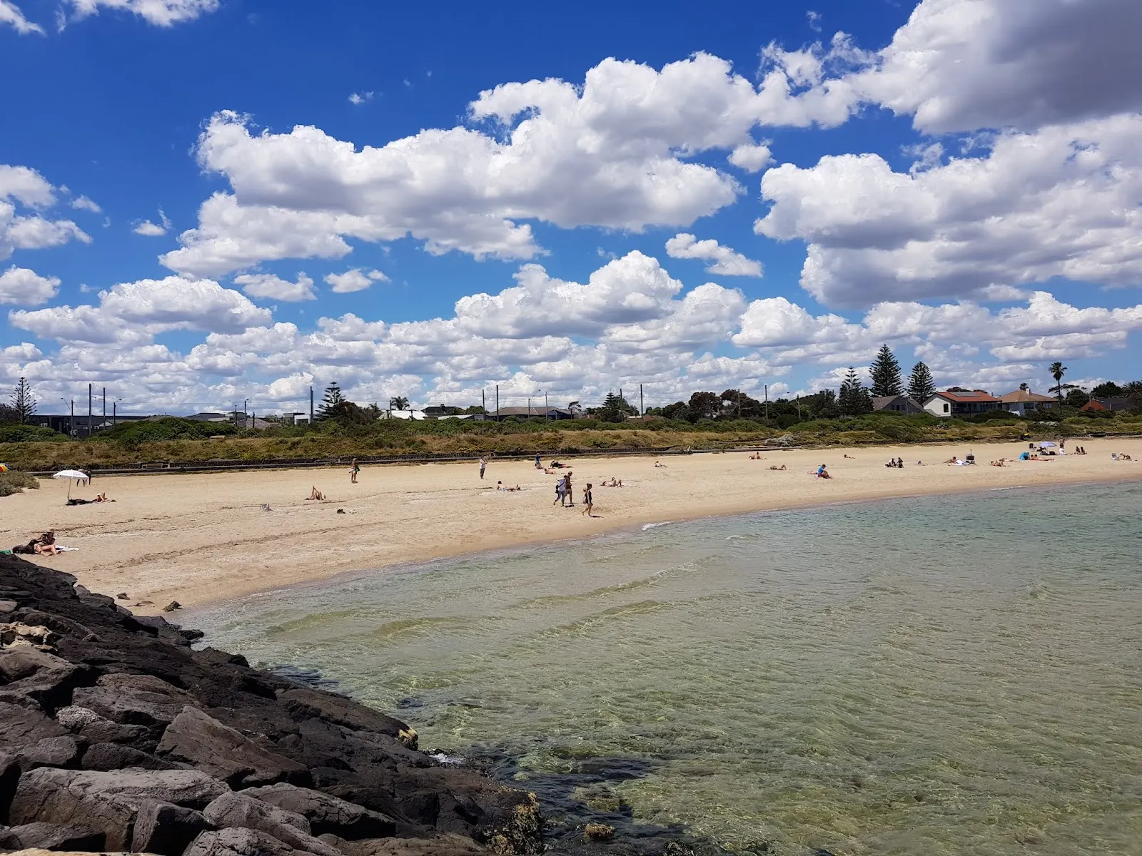 Brighton Beach Dog Off Leash Area dog-friendly beach