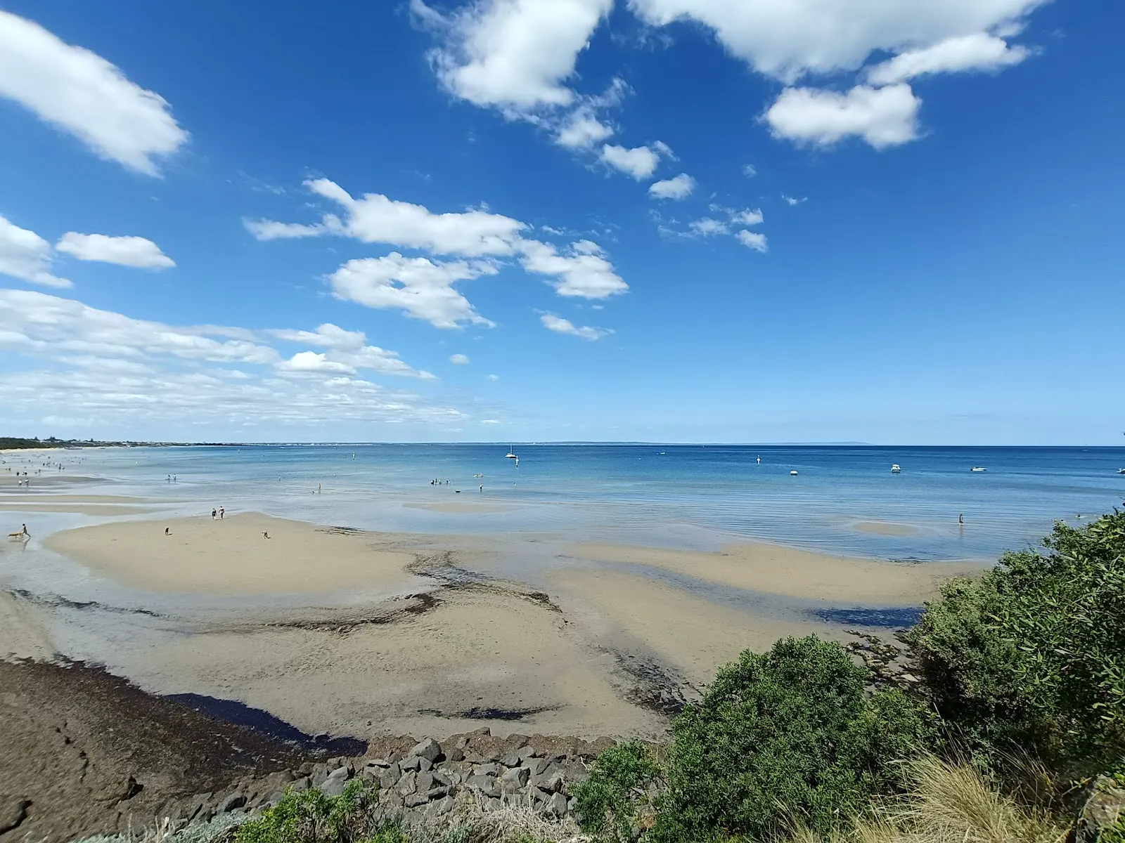 Mentone Beach Dog Off Leash Area dog-friendly beach