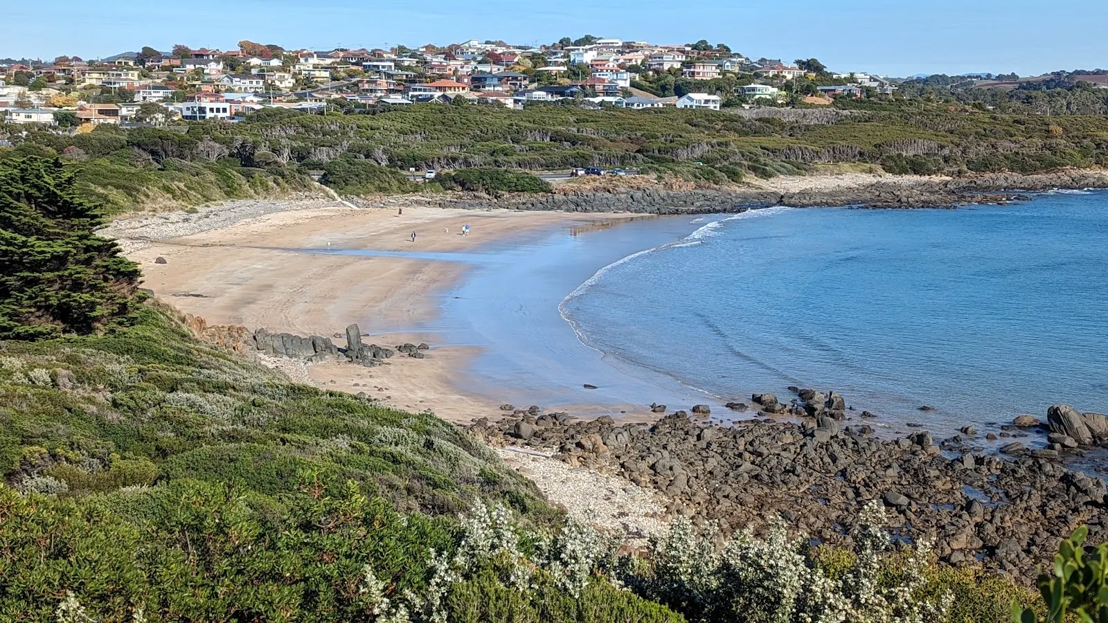 Back Beach dog-friendly beach