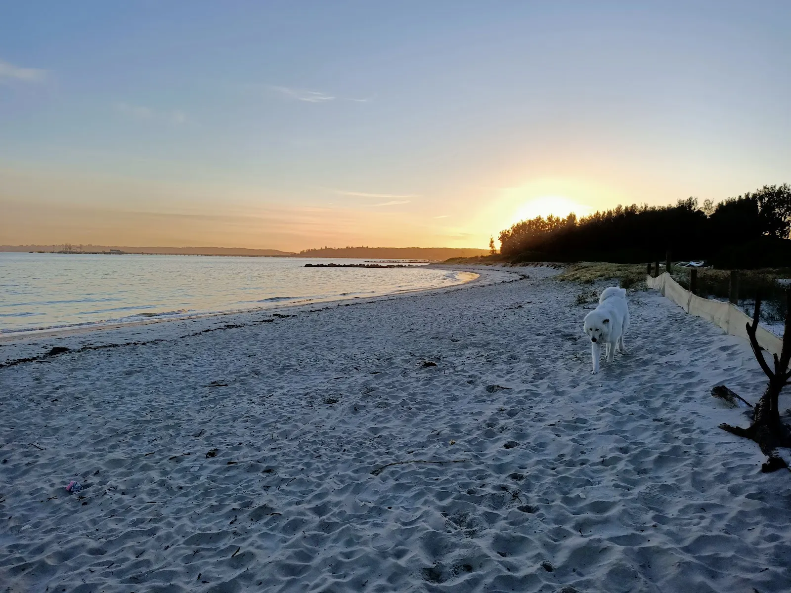 Silver Beach - Dog Beach section dog-friendly beach