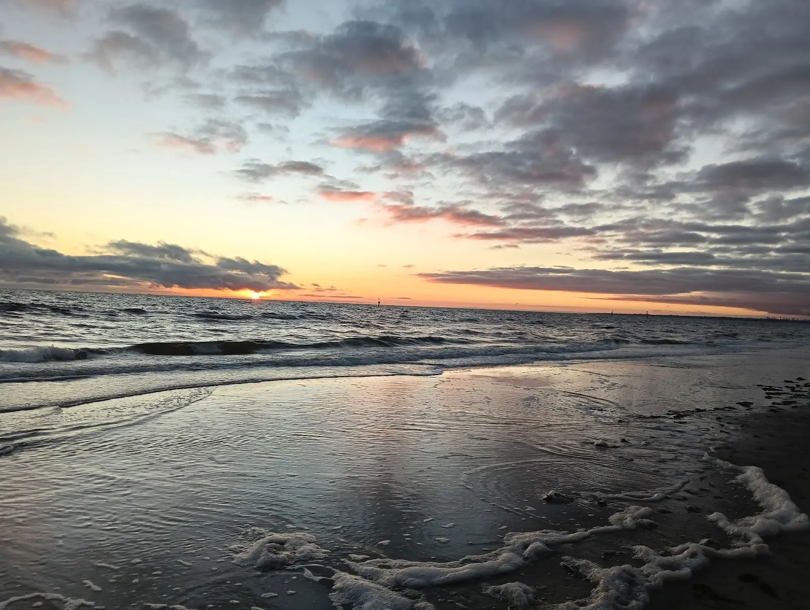 Carrum Dog Beach dog-friendly beach