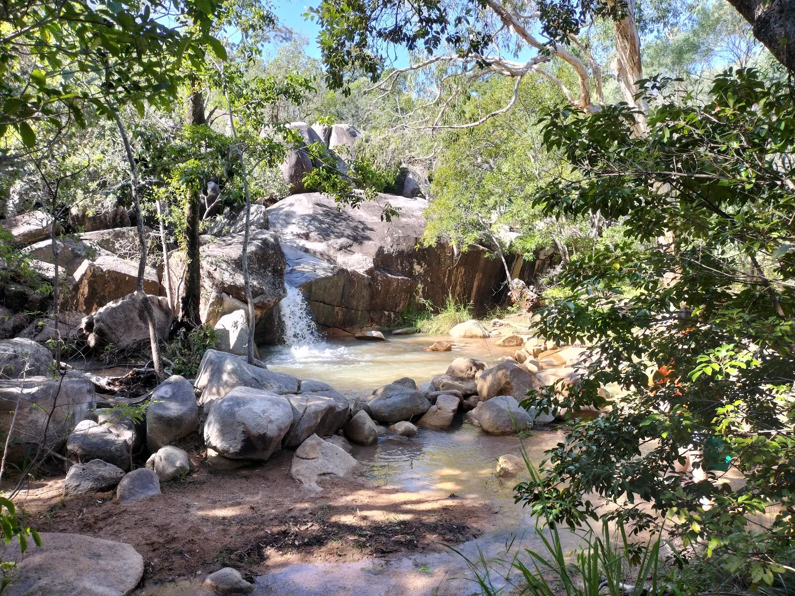 Dog Shed Water hole dog-friendly beach