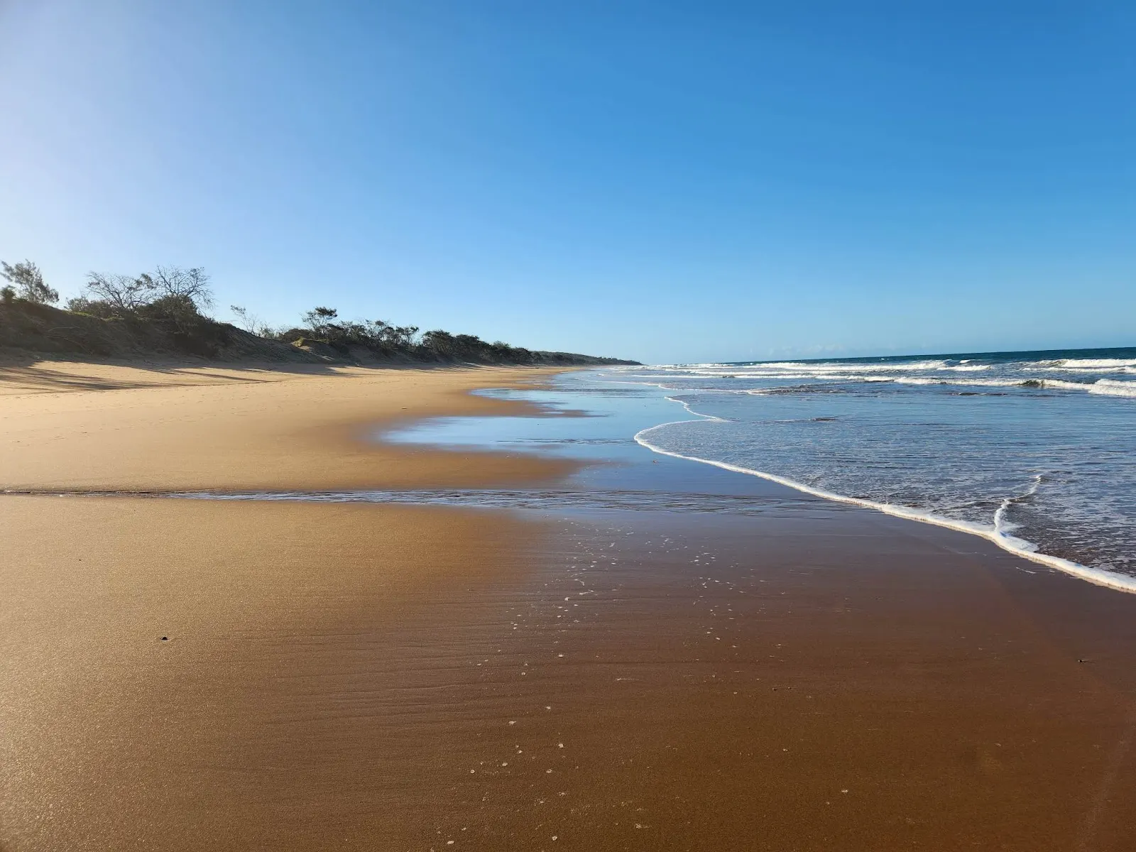 Off Lead Dog Beach dog-friendly beach