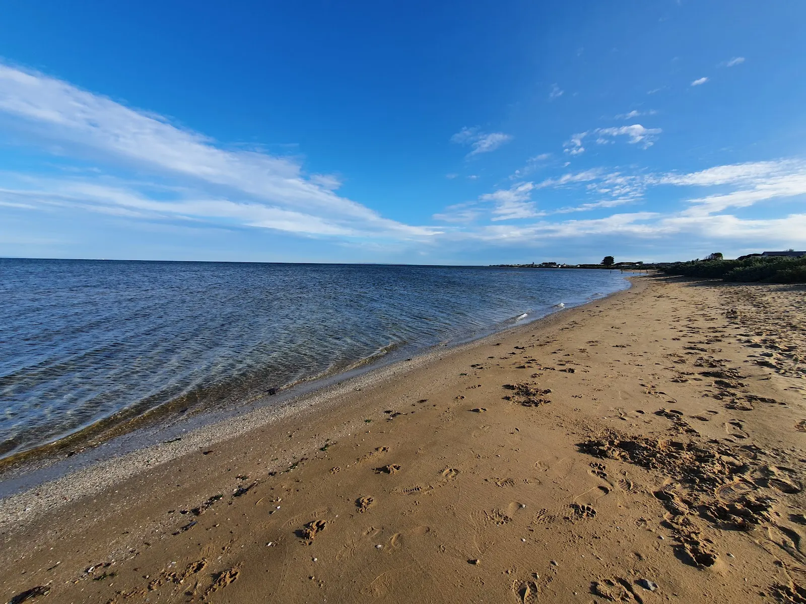 Campbells Cove Beach Dog Off Leash Area dog-friendly beach