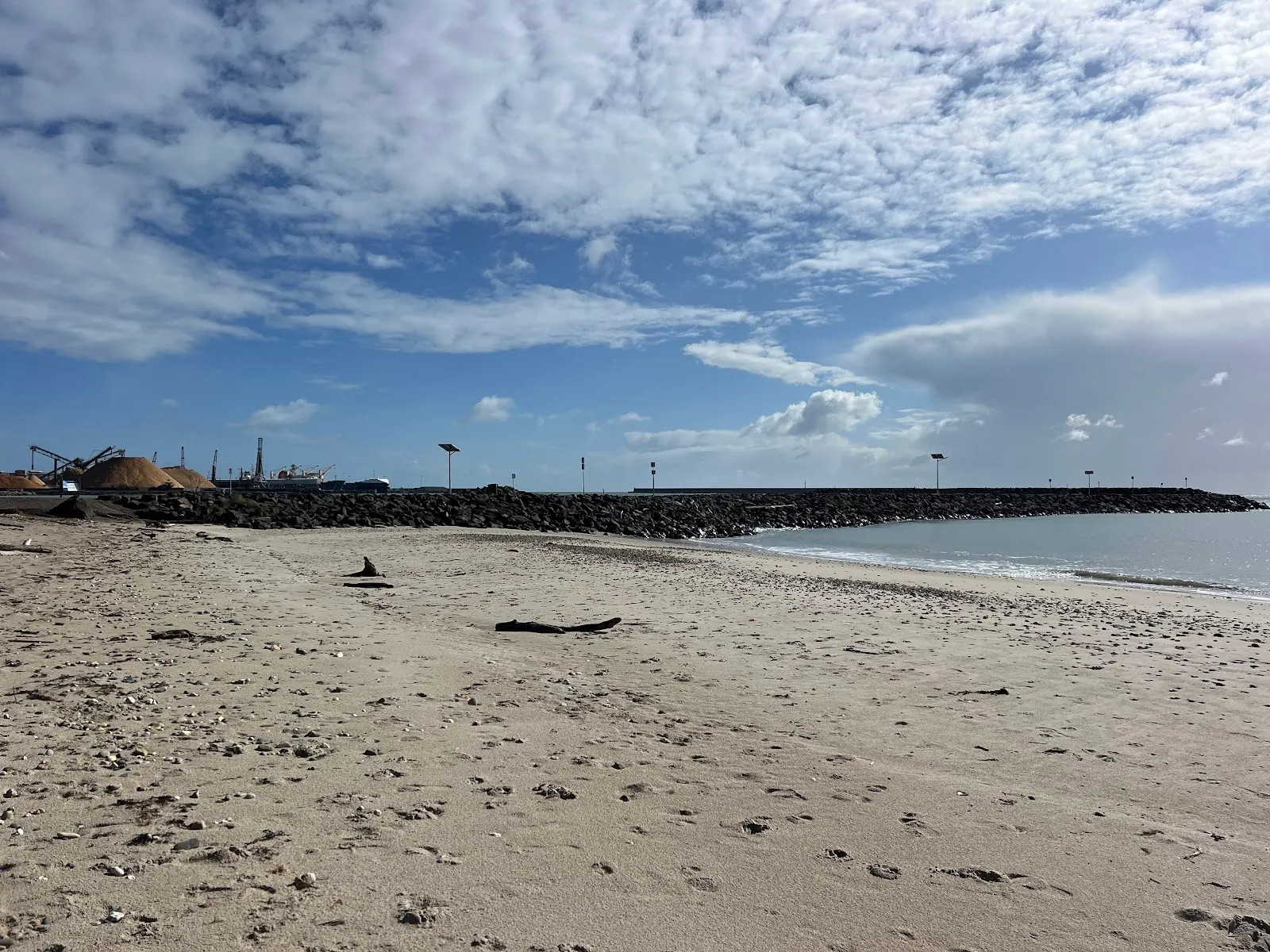South Burnie Dog Beach dog-friendly beach