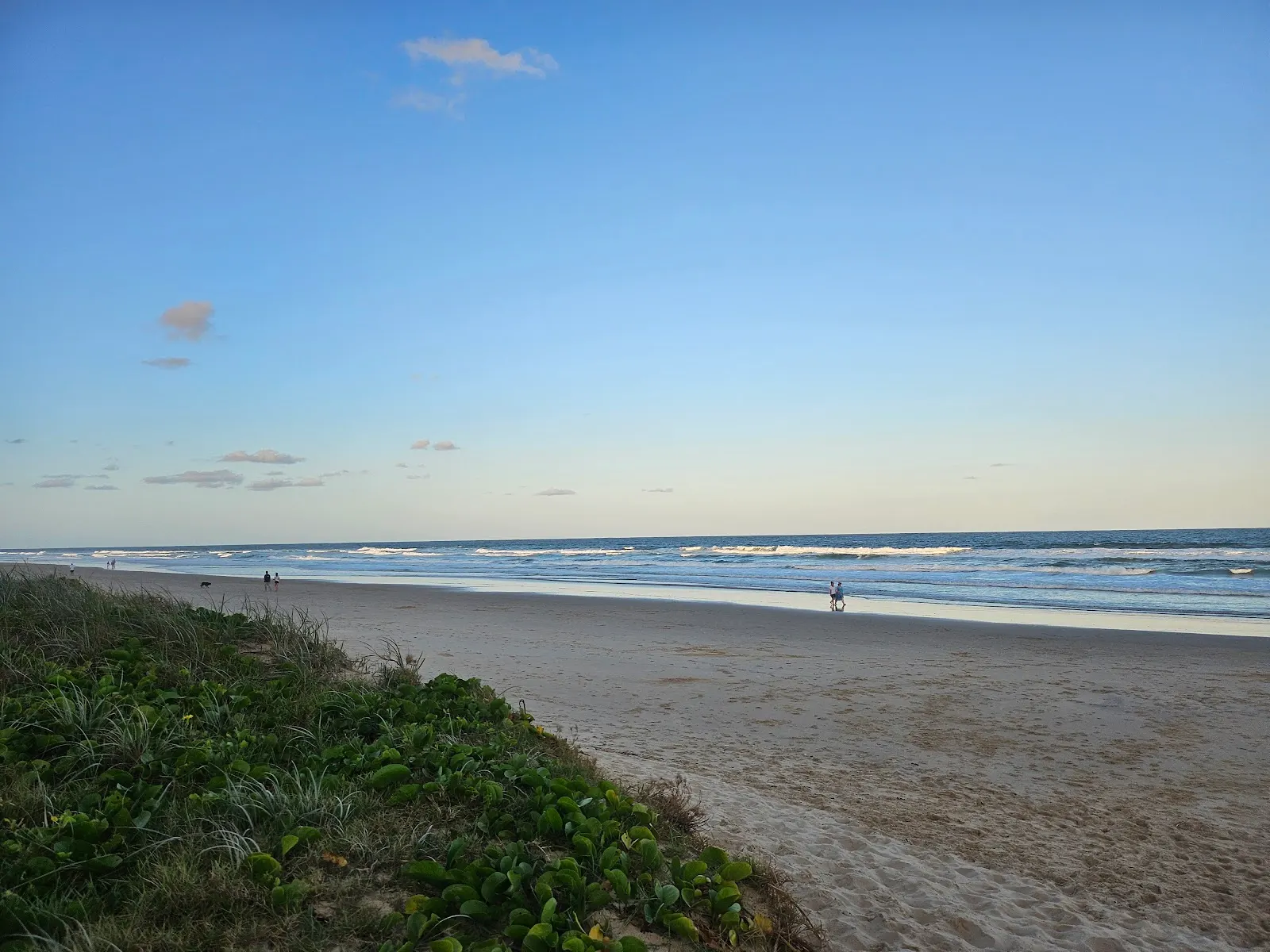 Coolum Beach north dog-friendly beach