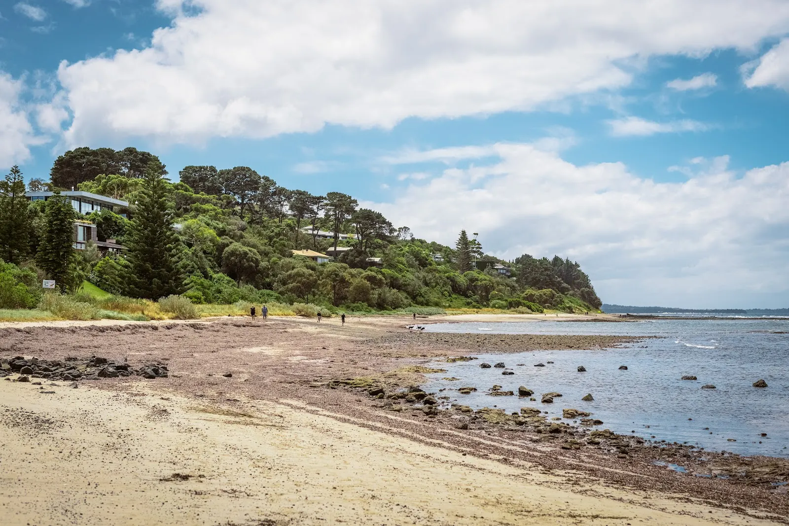 Flinders Beach Dog Off Leash Area dog-friendly beach