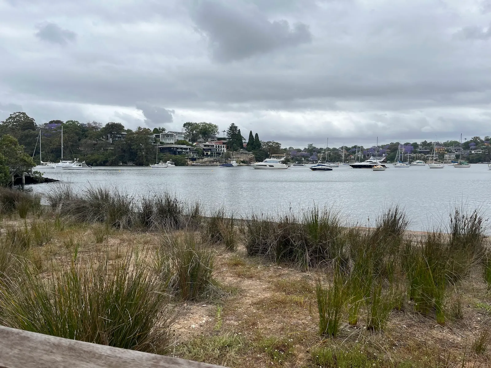 Tambourine Bay Park Dog off-leash area dog-friendly beach