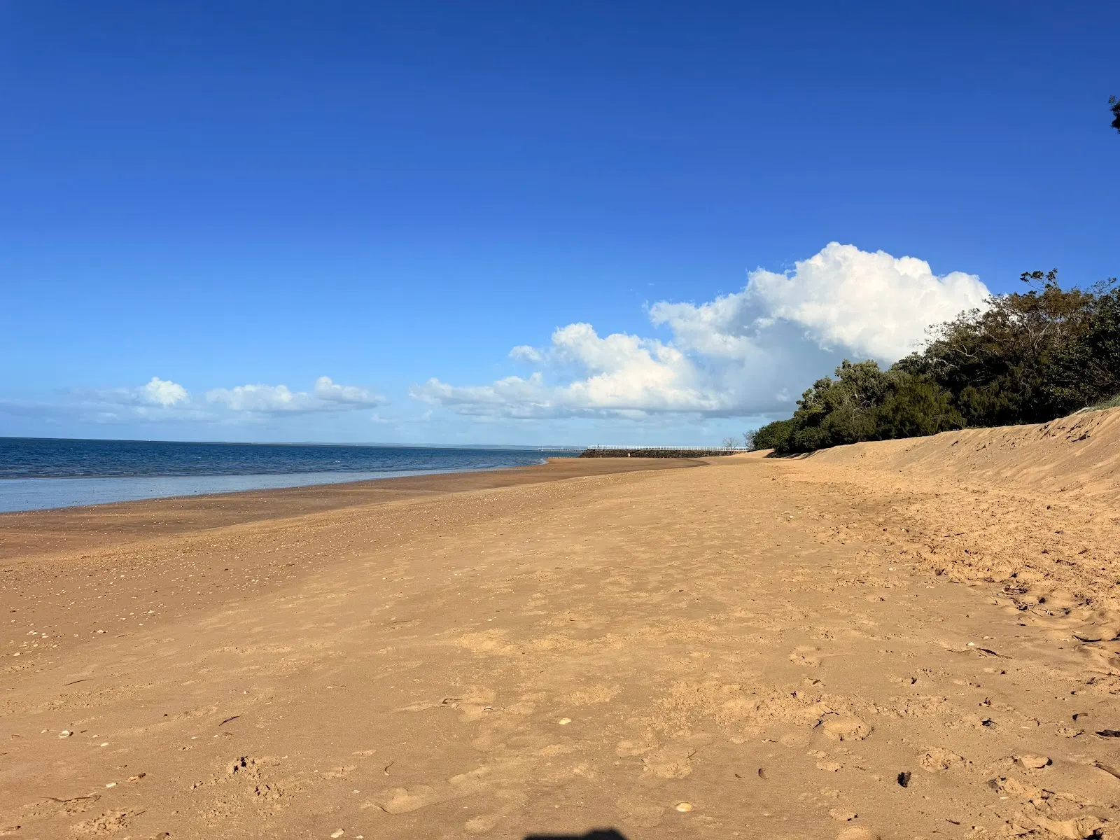 24/7 Off-leash Dog Beach dog-friendly beach