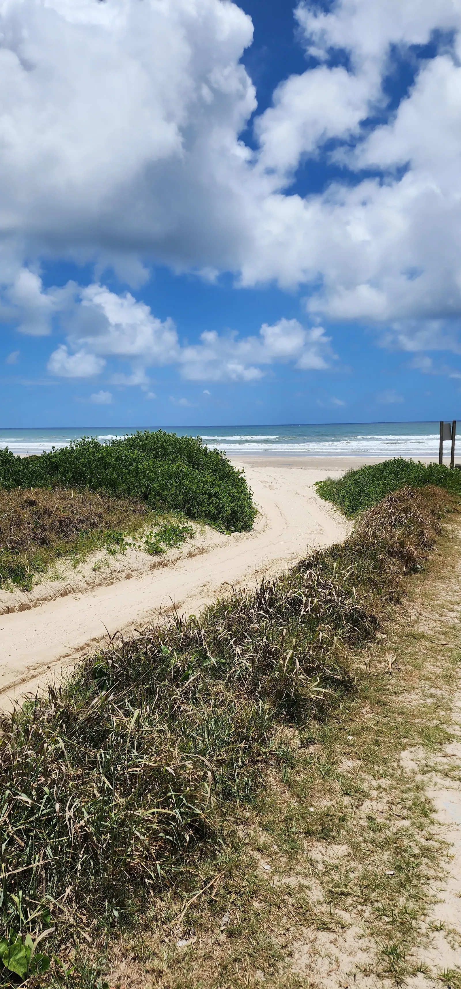 4WD and Dog Beach Entry dog-friendly beach