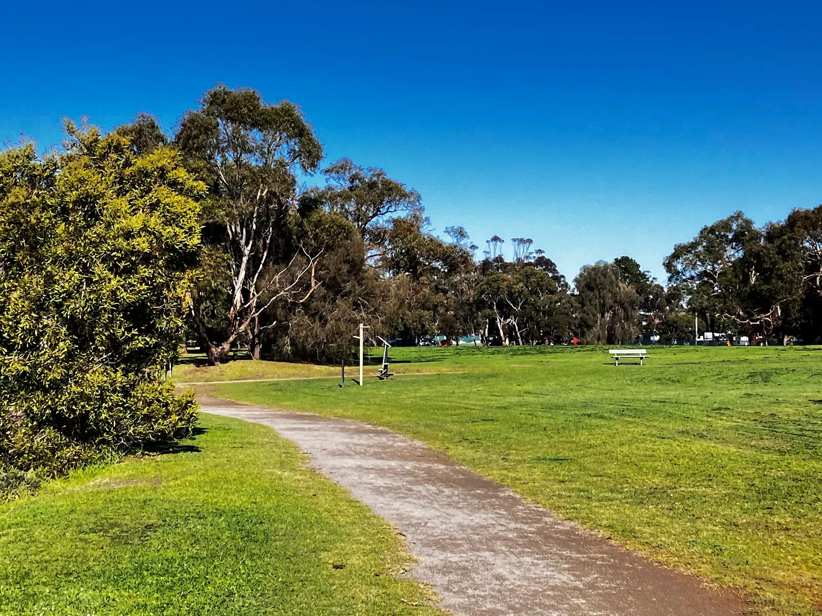 Hastings Foreshore Reserve Dog Off Leash Area dog-friendly beach
