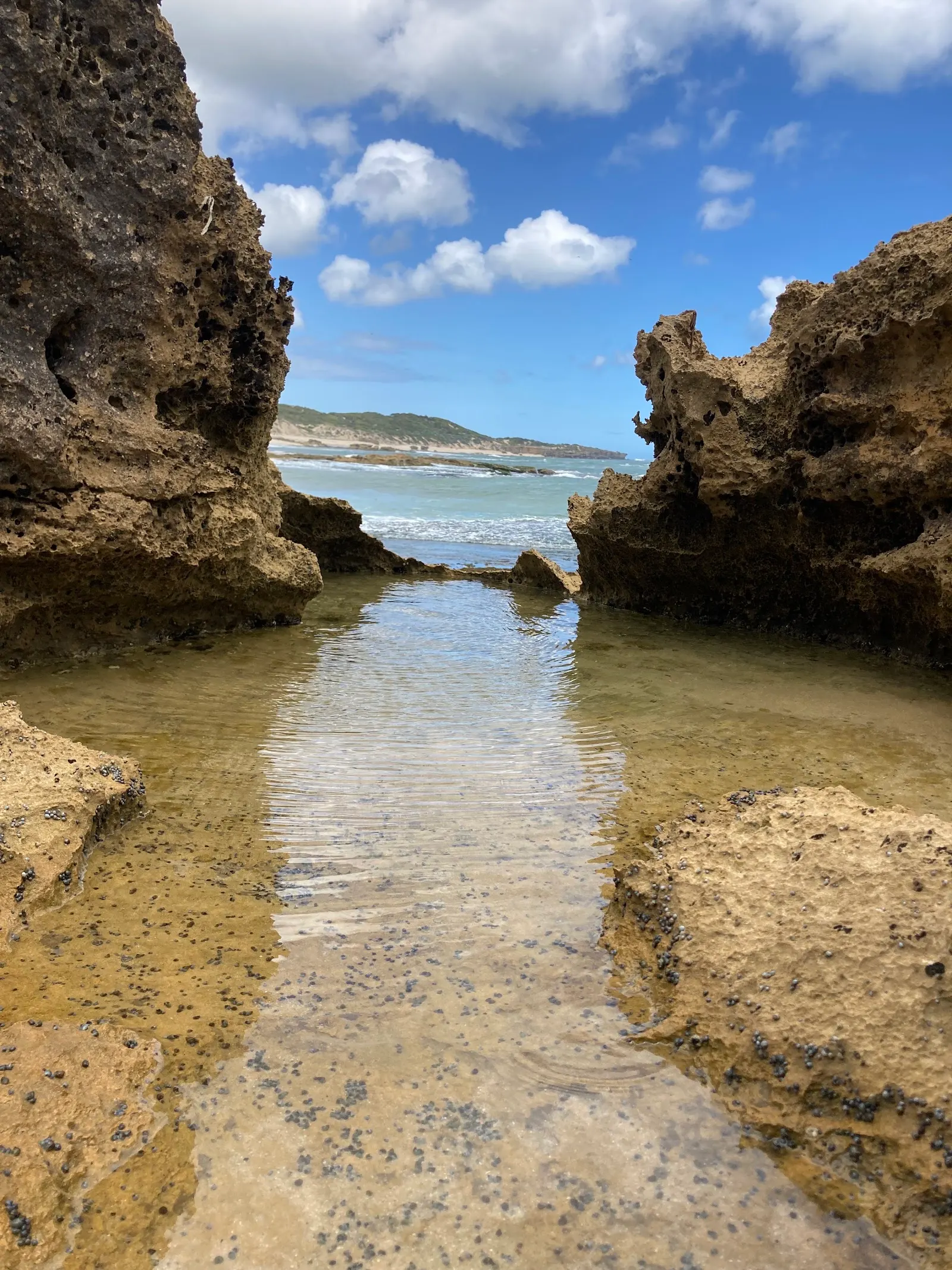 Dogs Head Rock dog-friendly beach