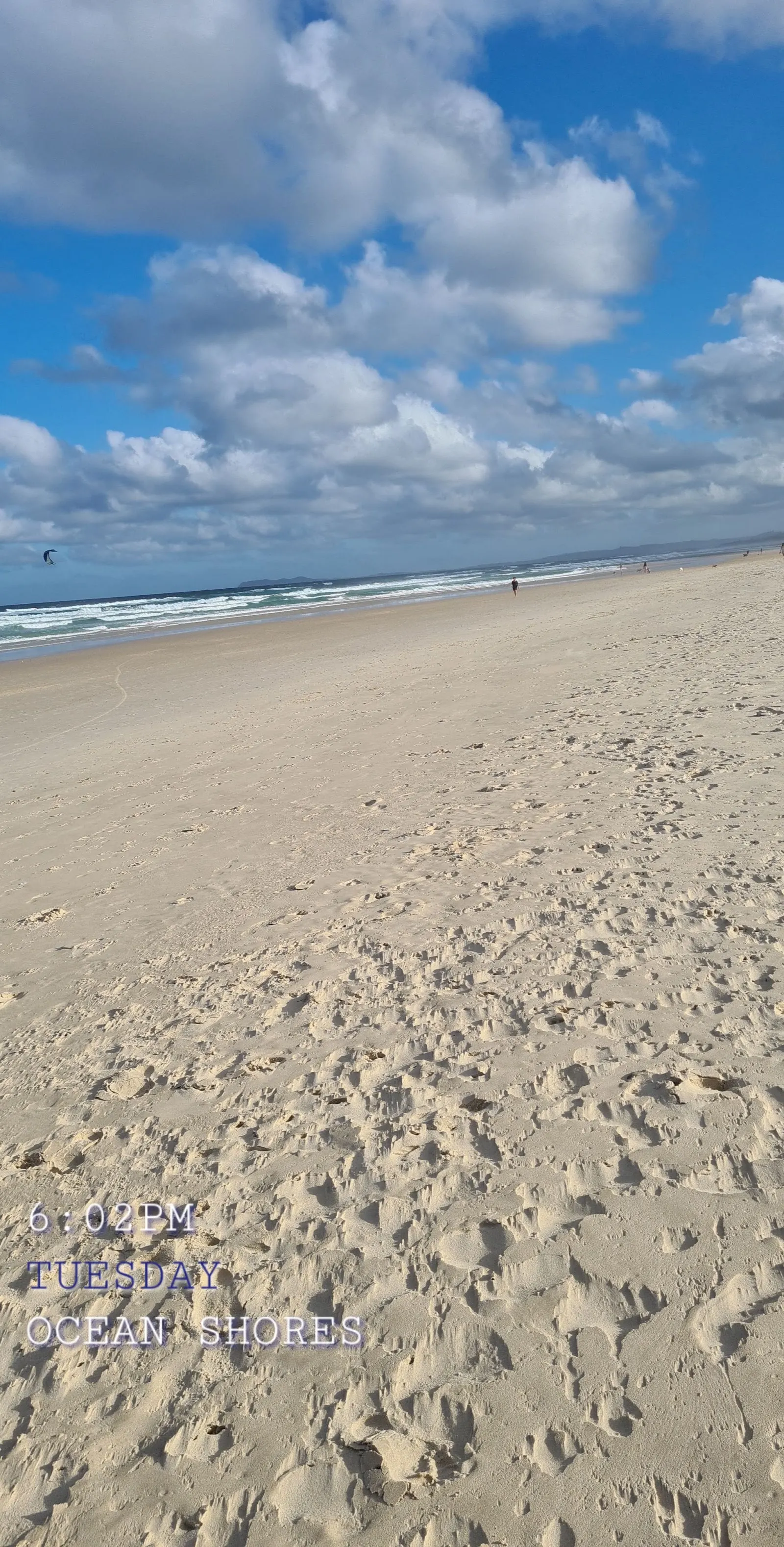 Dog Beach - South Golden Beach dog-friendly beach