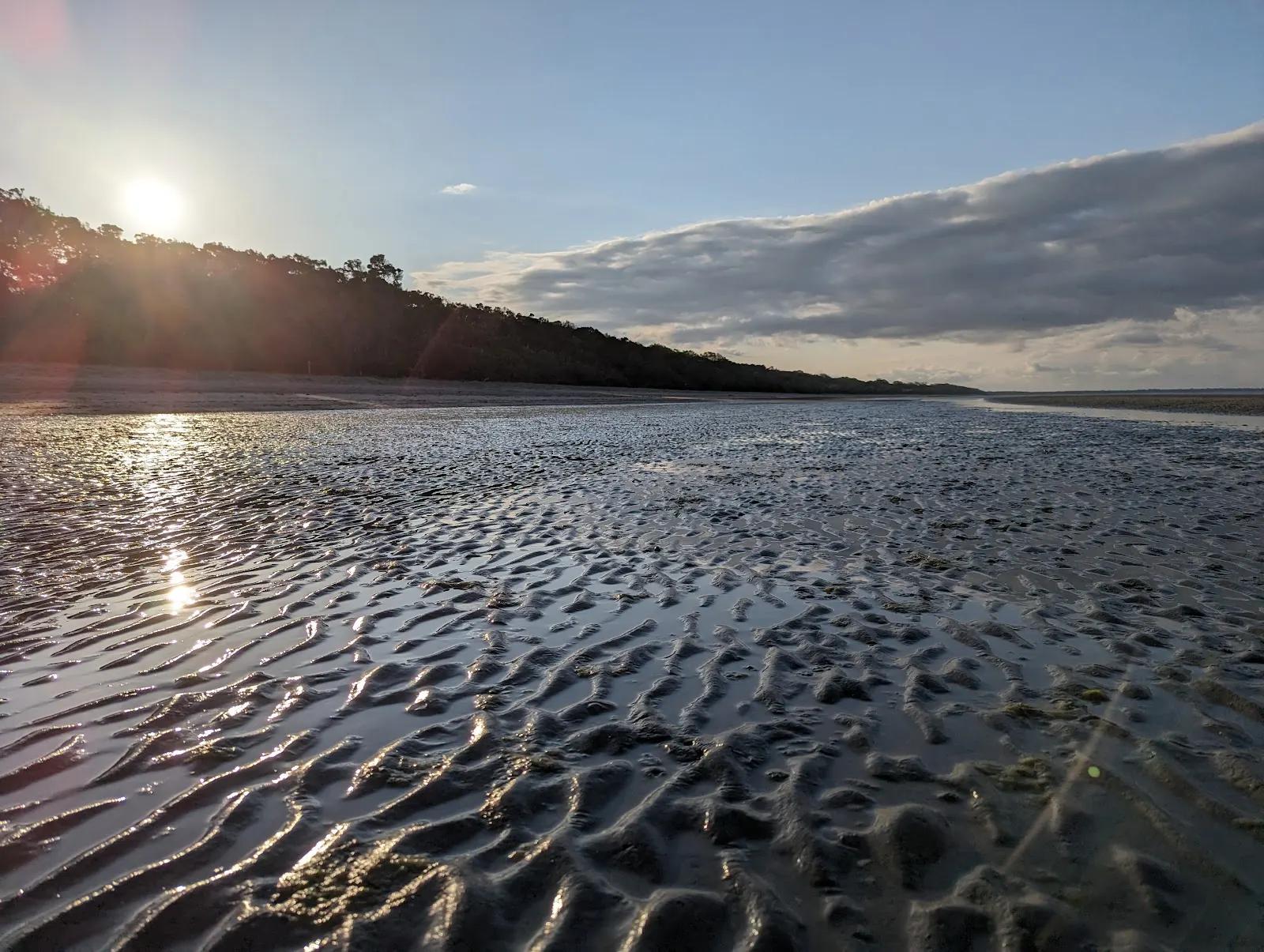 Toogoom 3.5 Beach Access dog-friendly beach