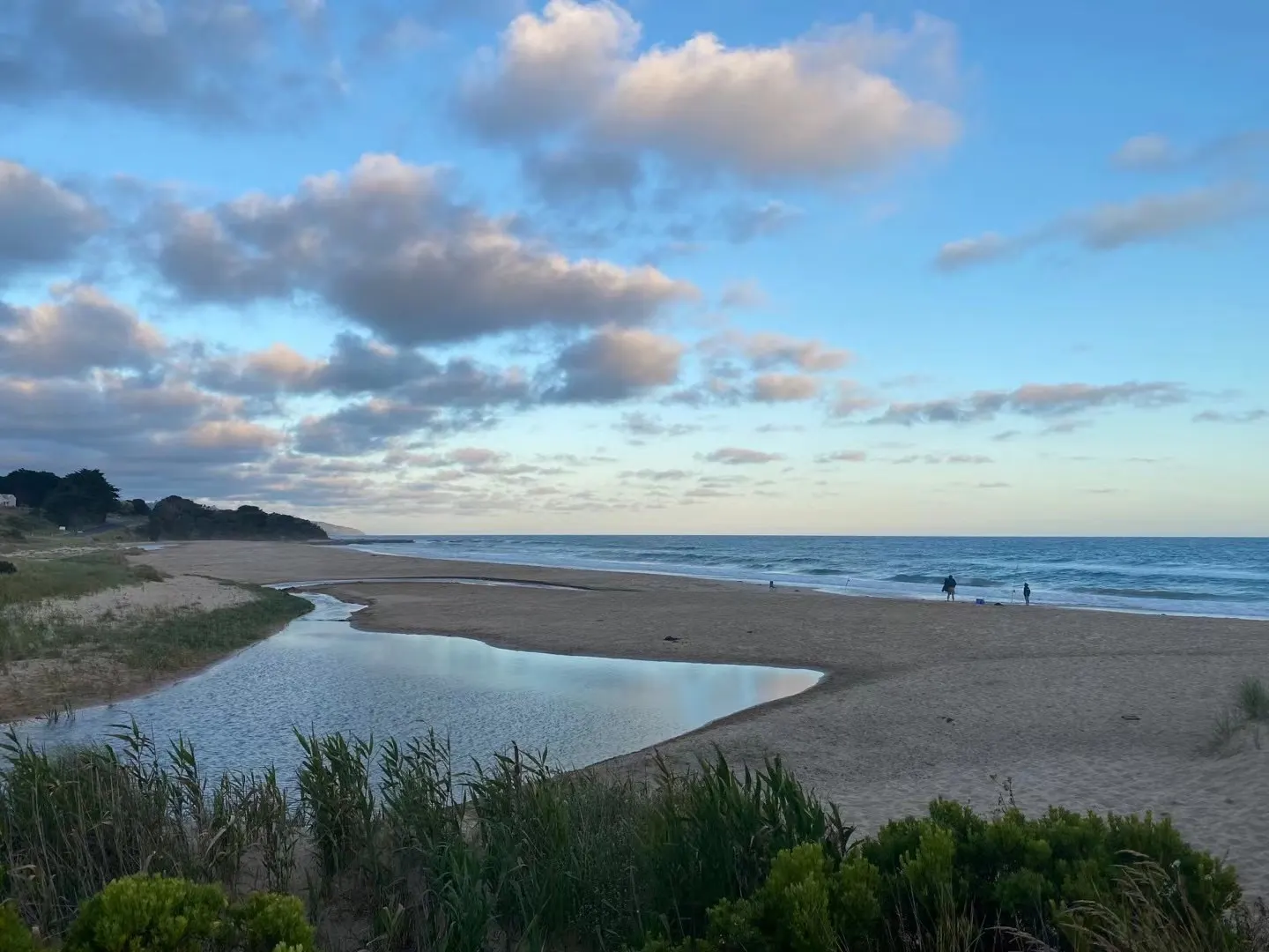 Wild dog creek beach car park dog-friendly beach