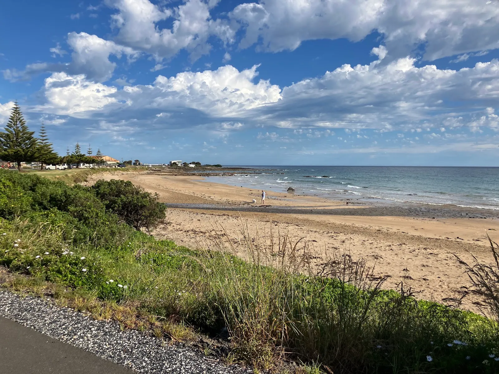 Cooee Creek Dog Beach dog-friendly beach