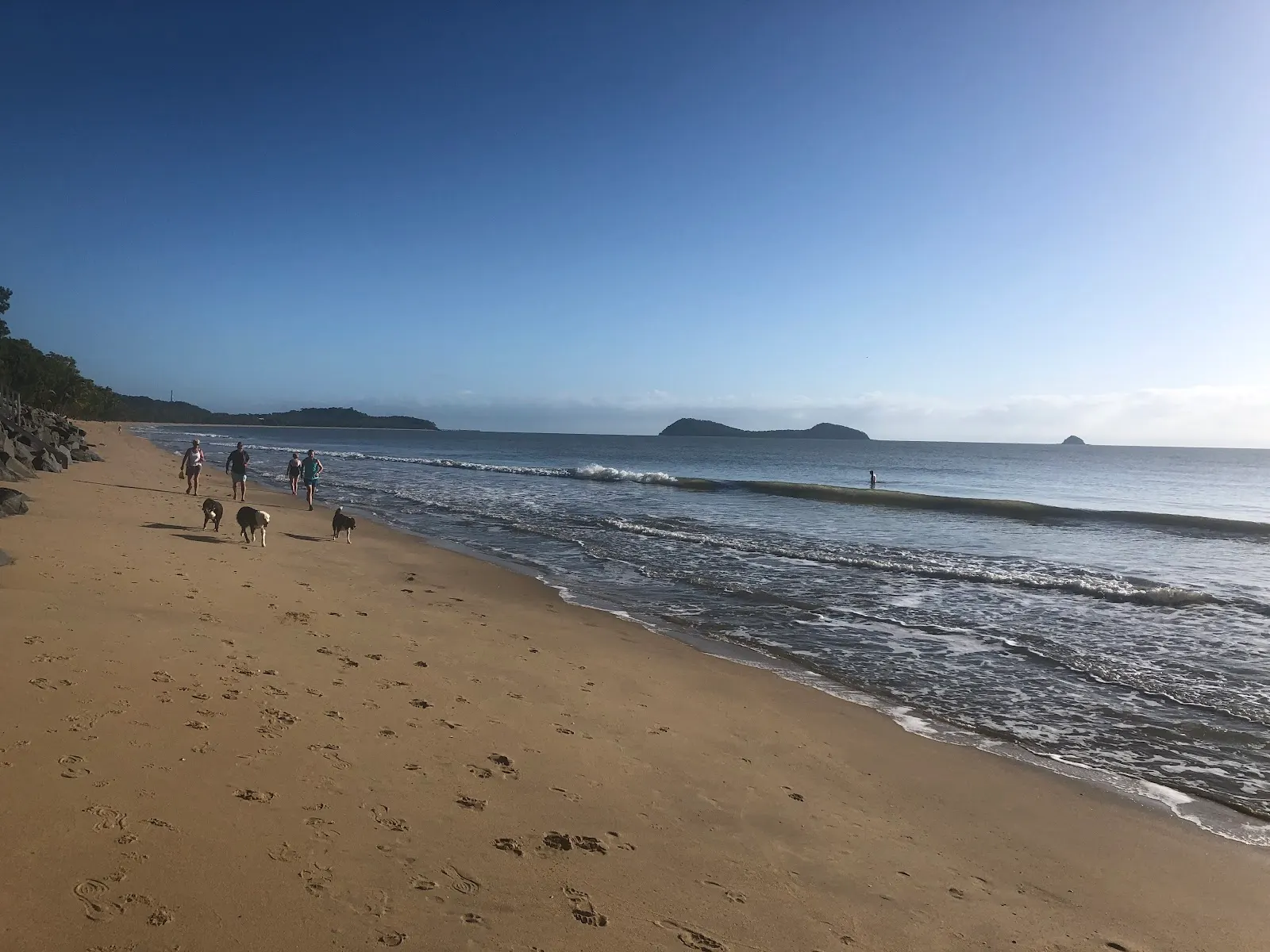 Harry Doyle Pickles winter off leash dog beach dog-friendly beach