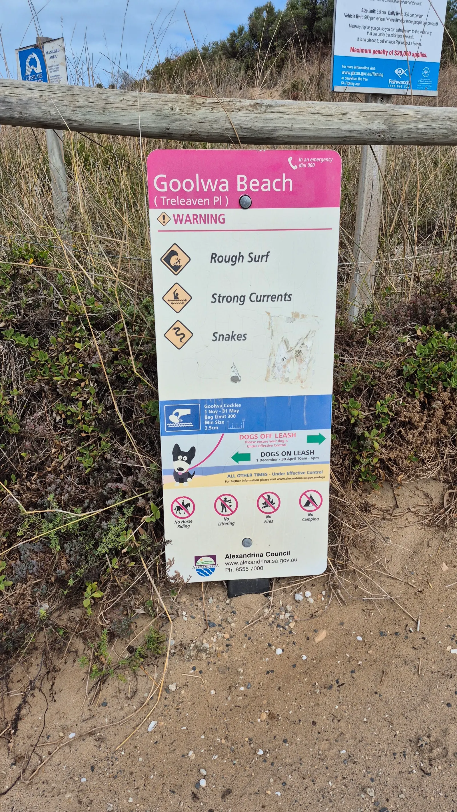 Off Leash Dog Beach Area dog-friendly beach