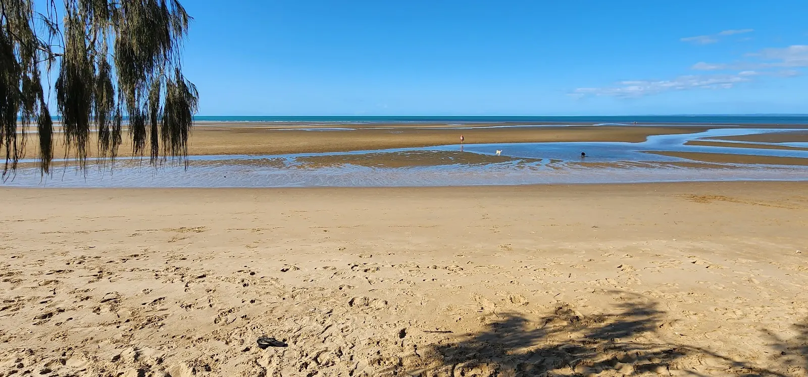 Off-leash dog beach 3pm - 8am dog-friendly beach