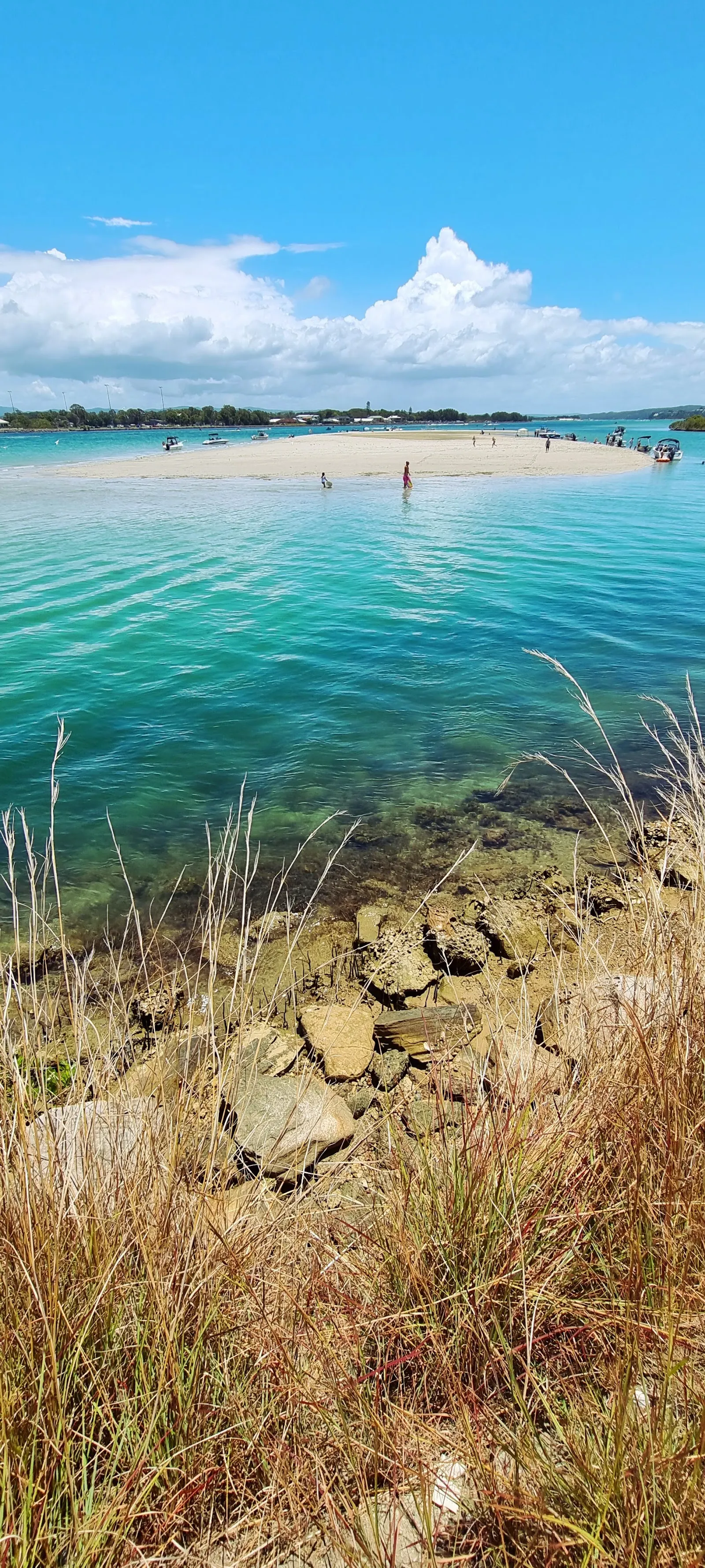 Dog's Leg Island dog-friendly beach