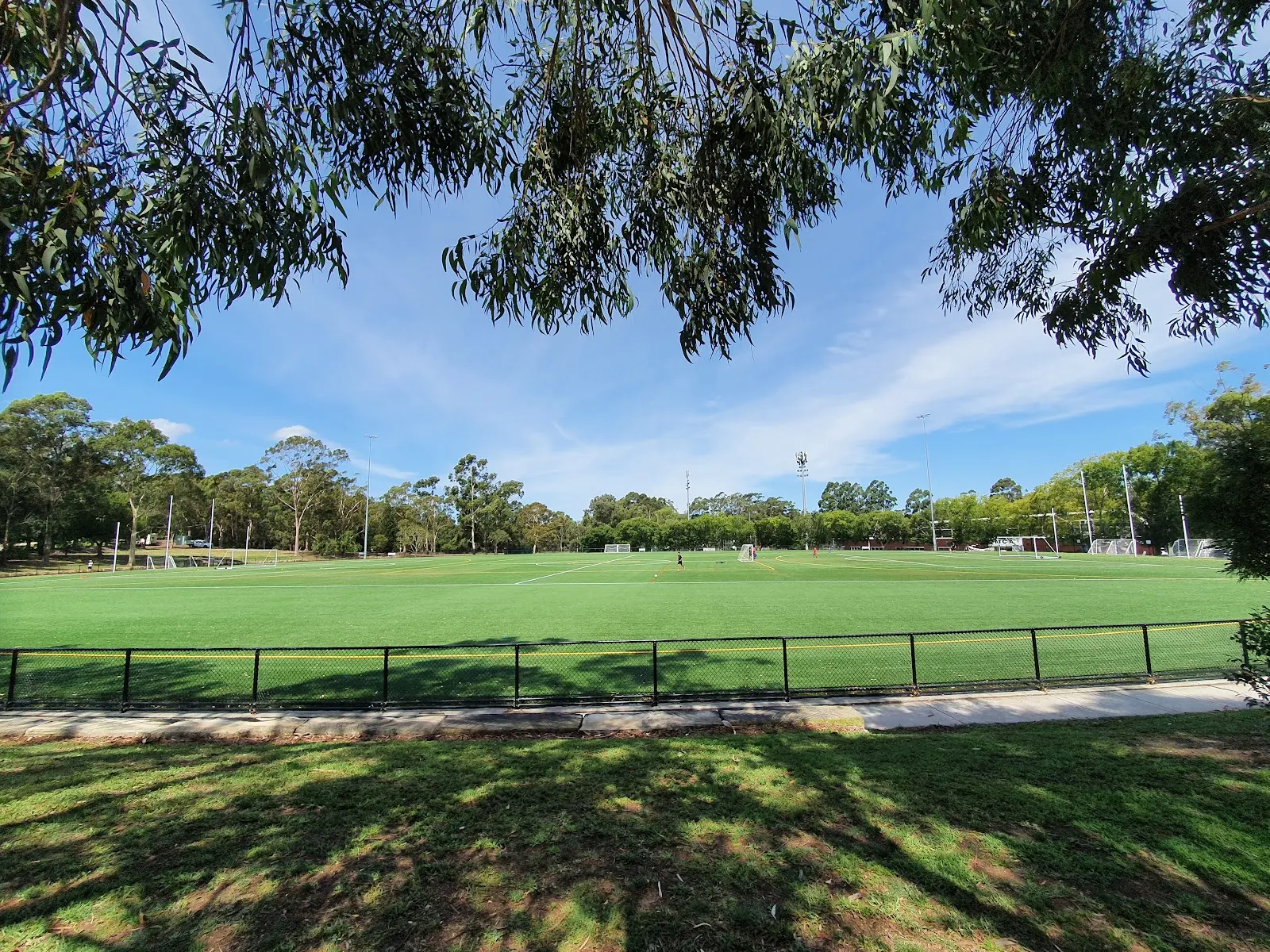 ELS Hall Park dog park
