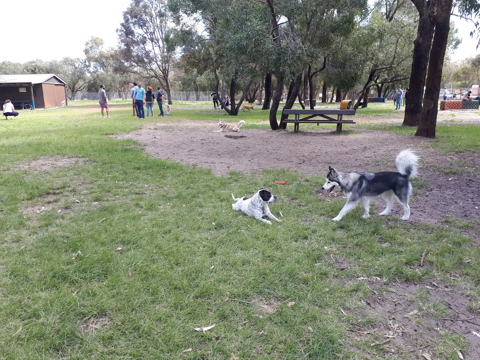 Whiteman Park Fenced Dog Park dog park