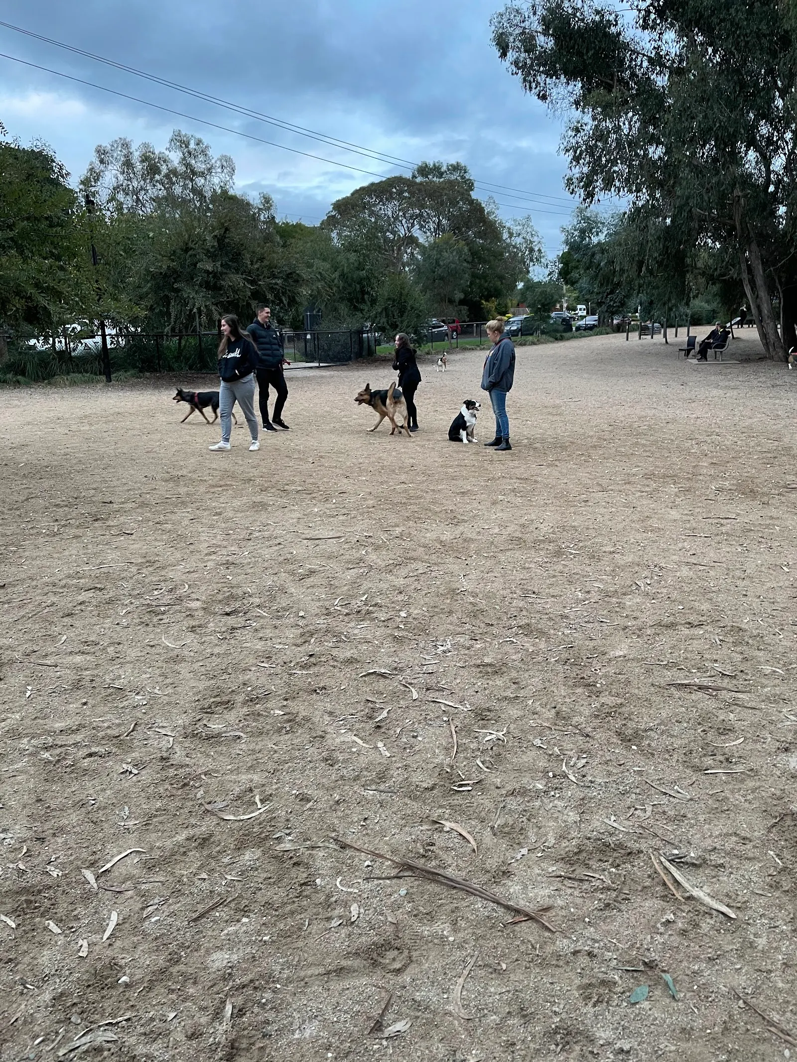 Eastfield Fenced Dog Park dog park