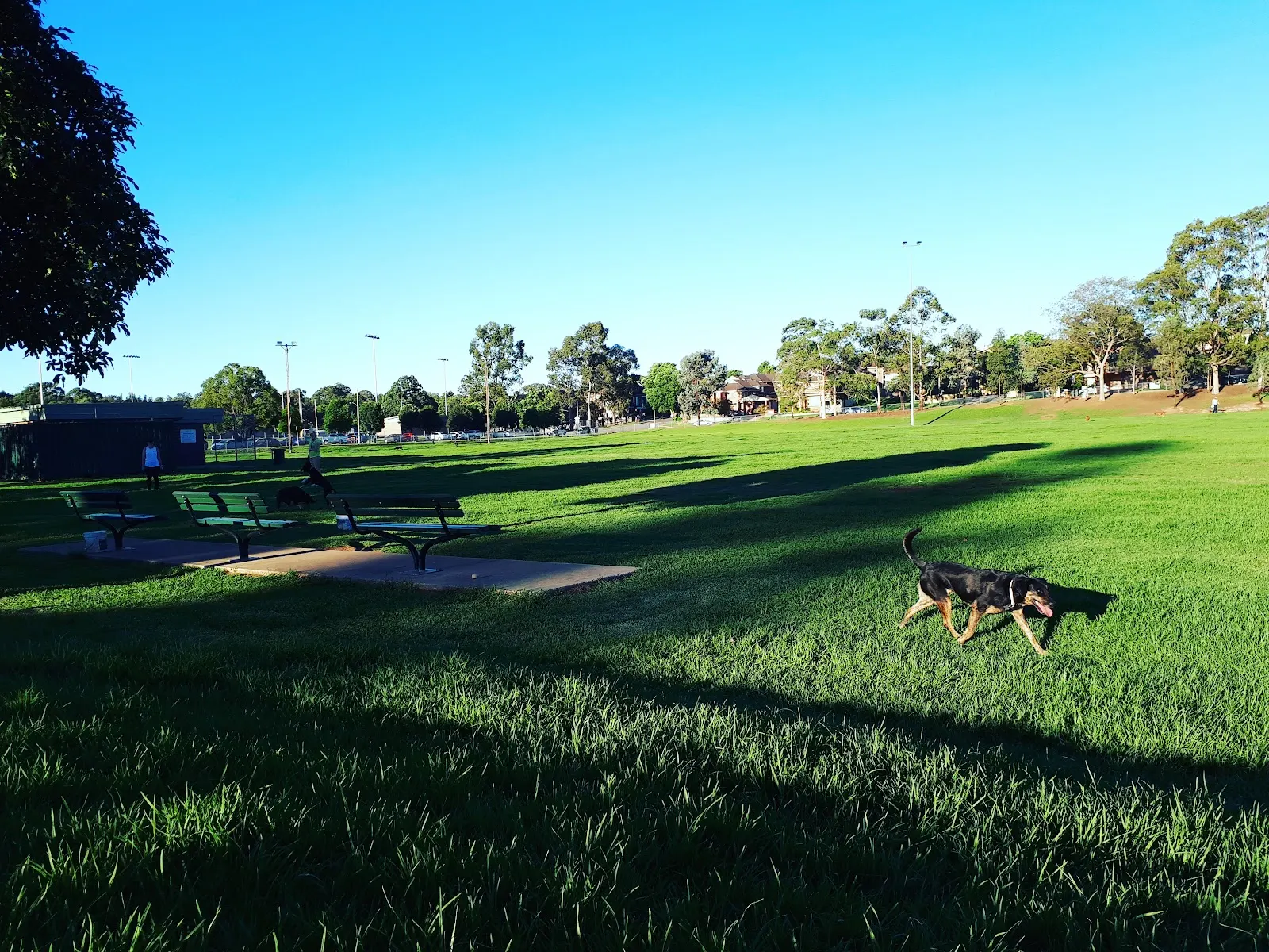 Dan Mahoney Reserve Fenced Dog Park dog park