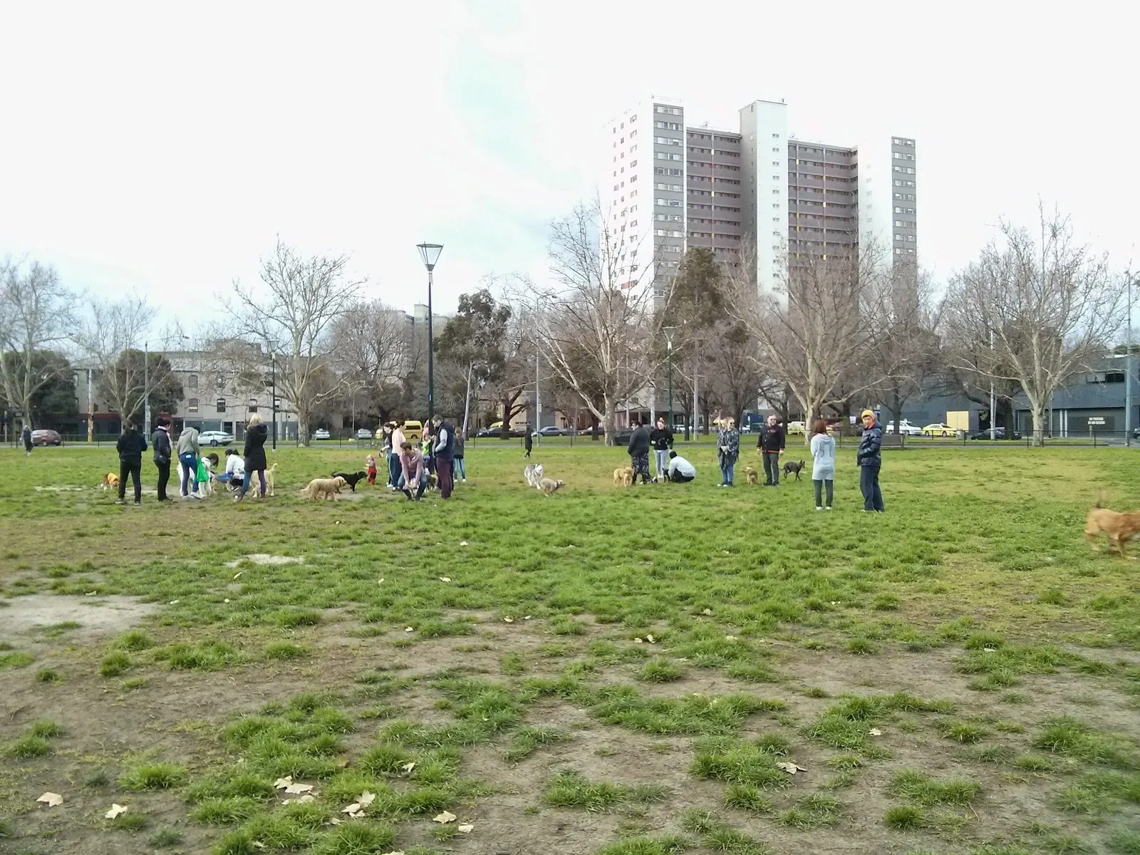 Clayton Reserve dog park