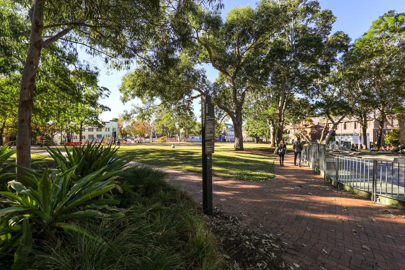 Ward Park dog park