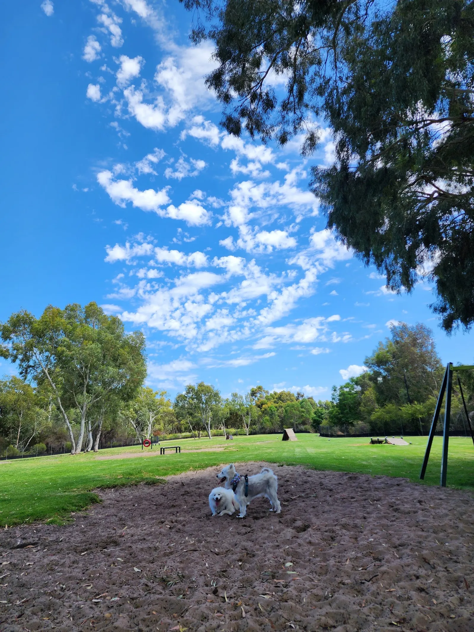 Aveley Fenced Dog Park dog park