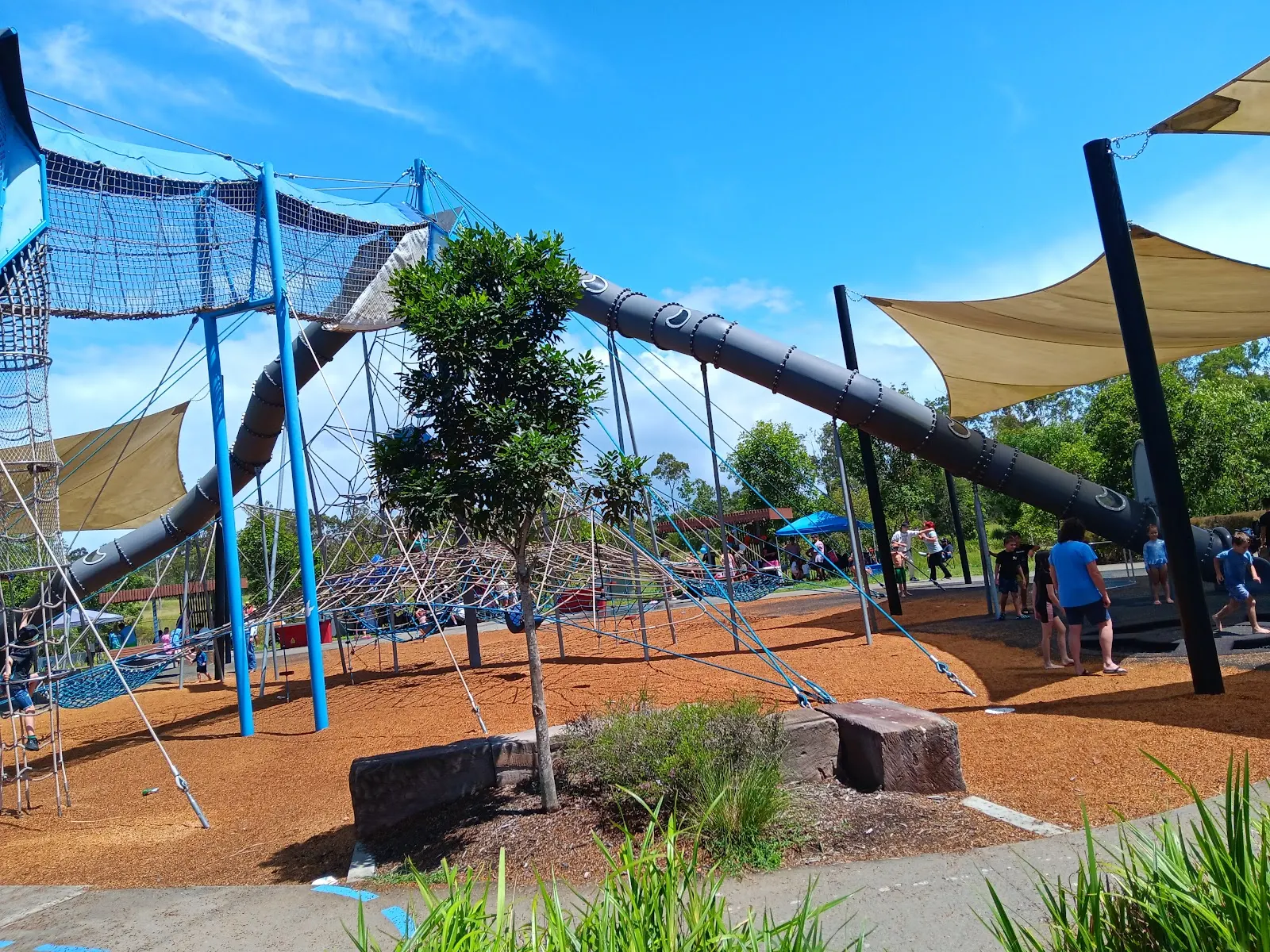 Flagstone Regional Park dog park