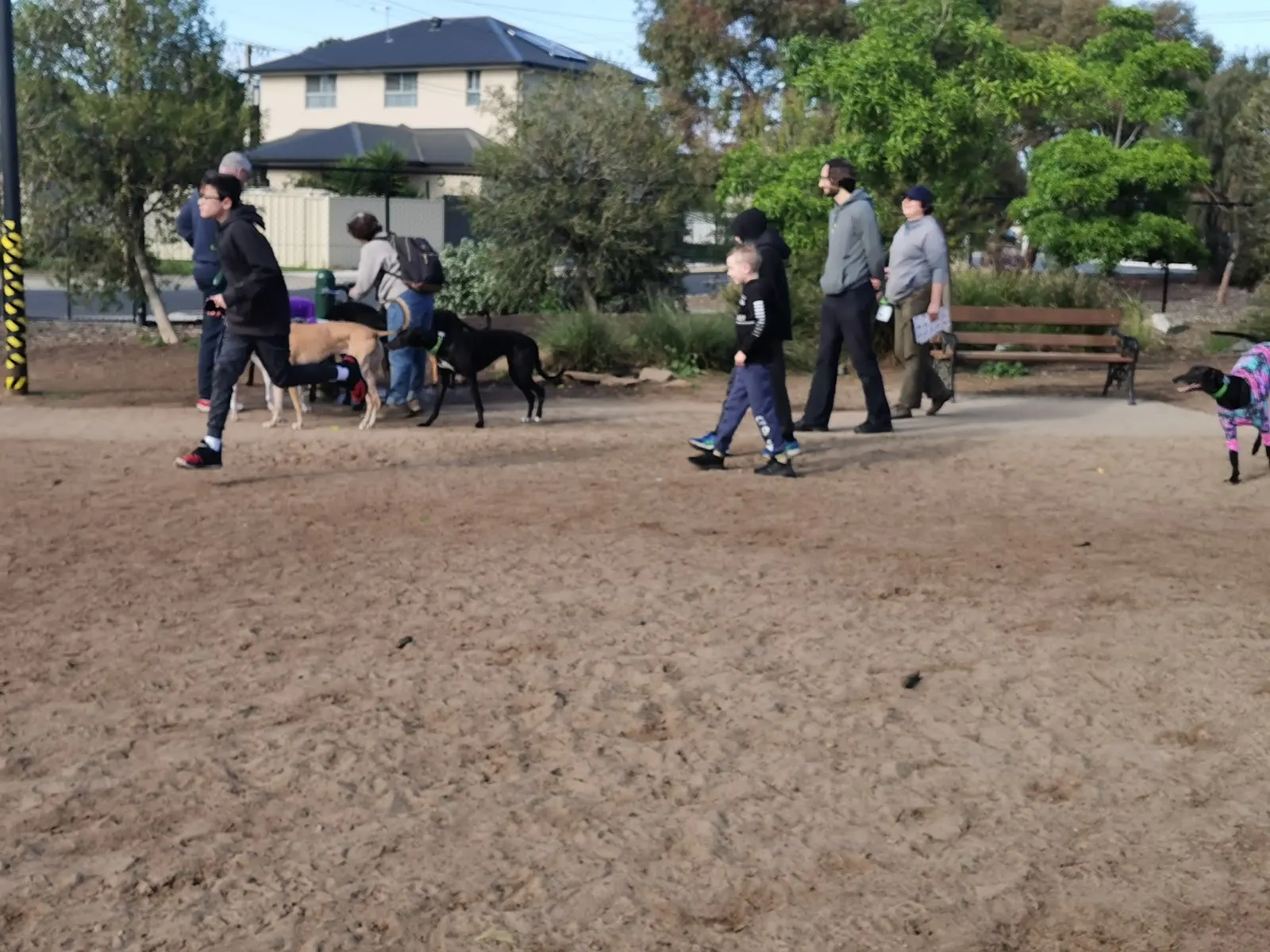 West Torrens Dog Park dog park