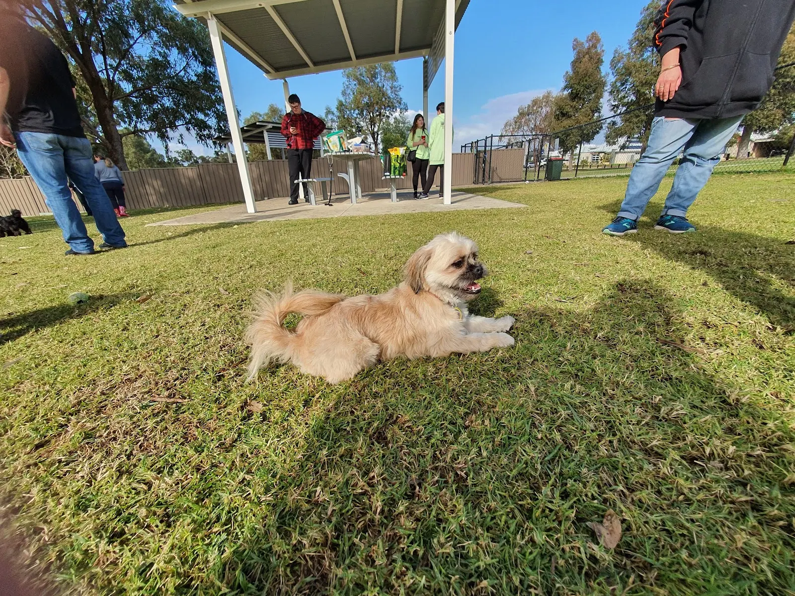 Baldivis Fenced Dog Park dog park