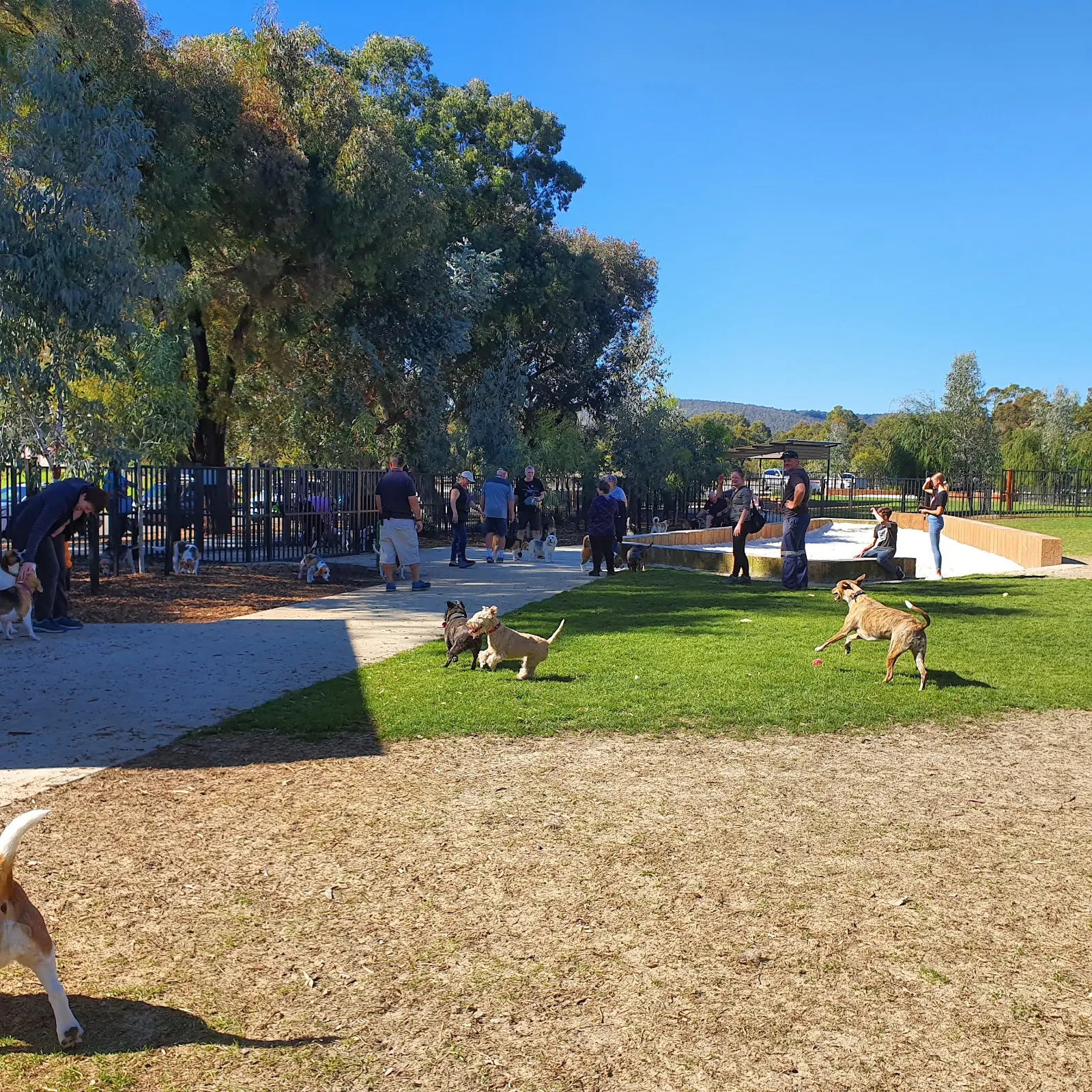 John Dunn Memorial Park Fenced Dog Park dog park