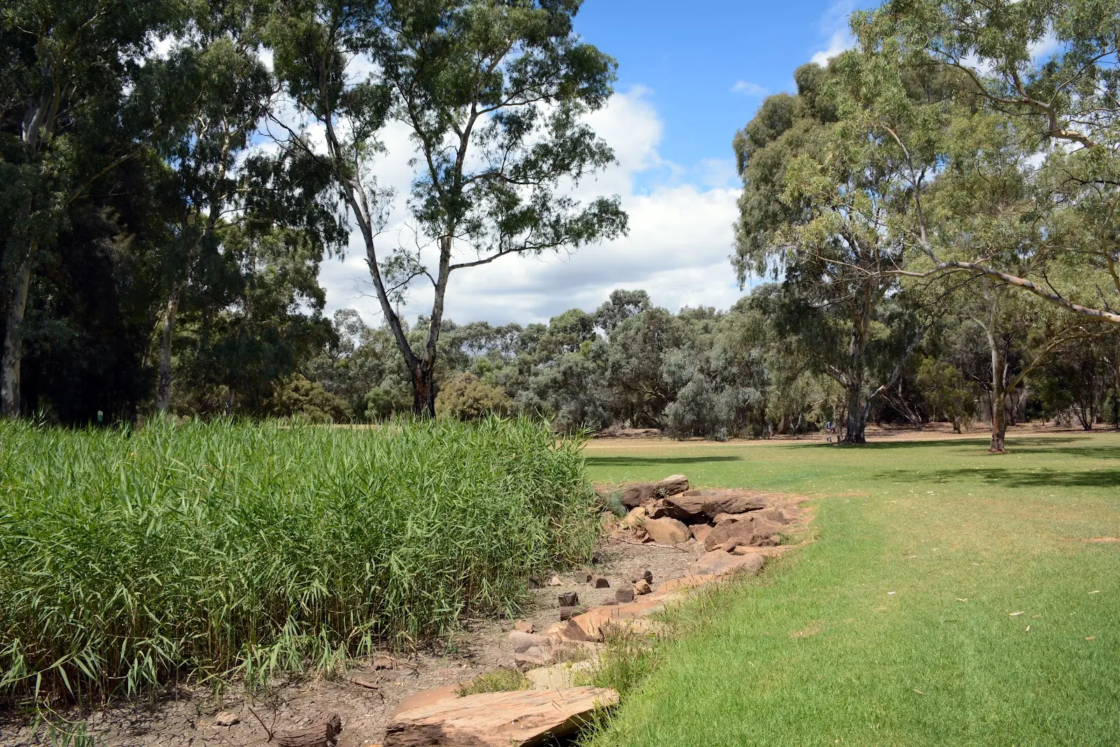 The Paddocks Wetlands dog park