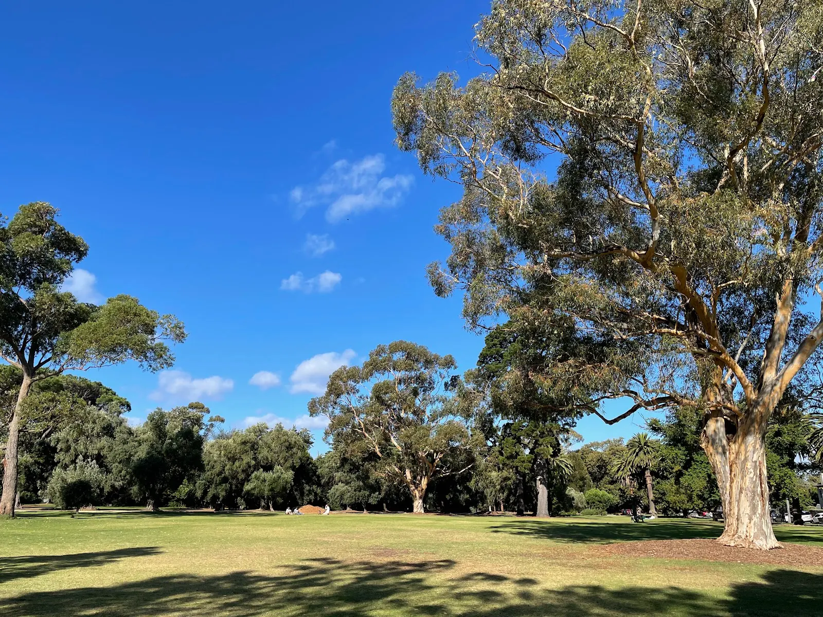 Alma Park West dog park