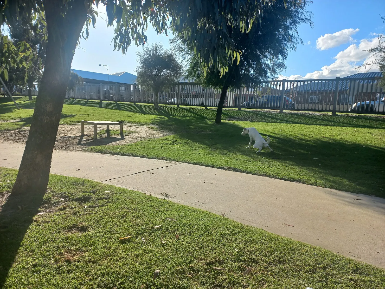 Calleya Fenced Dog Park dog park