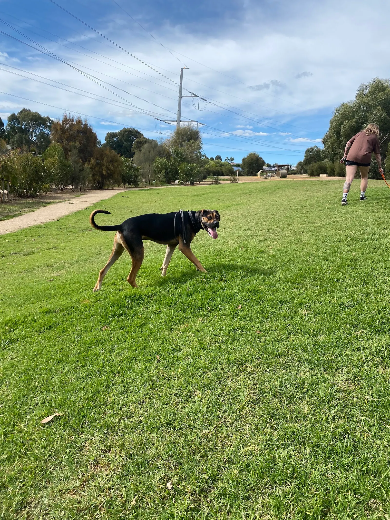 Mt Barker 'Barka Park' Fenced Dog Park dog park