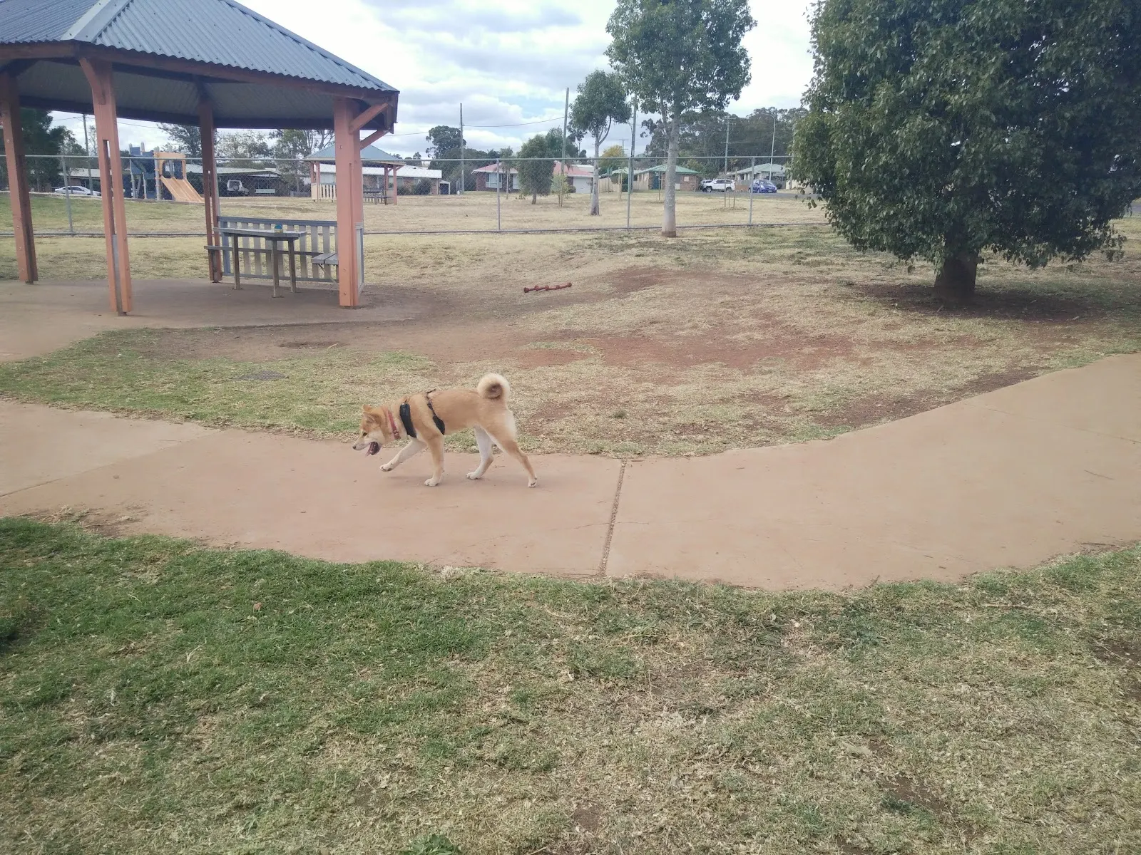 Theiss Dog Park dog park