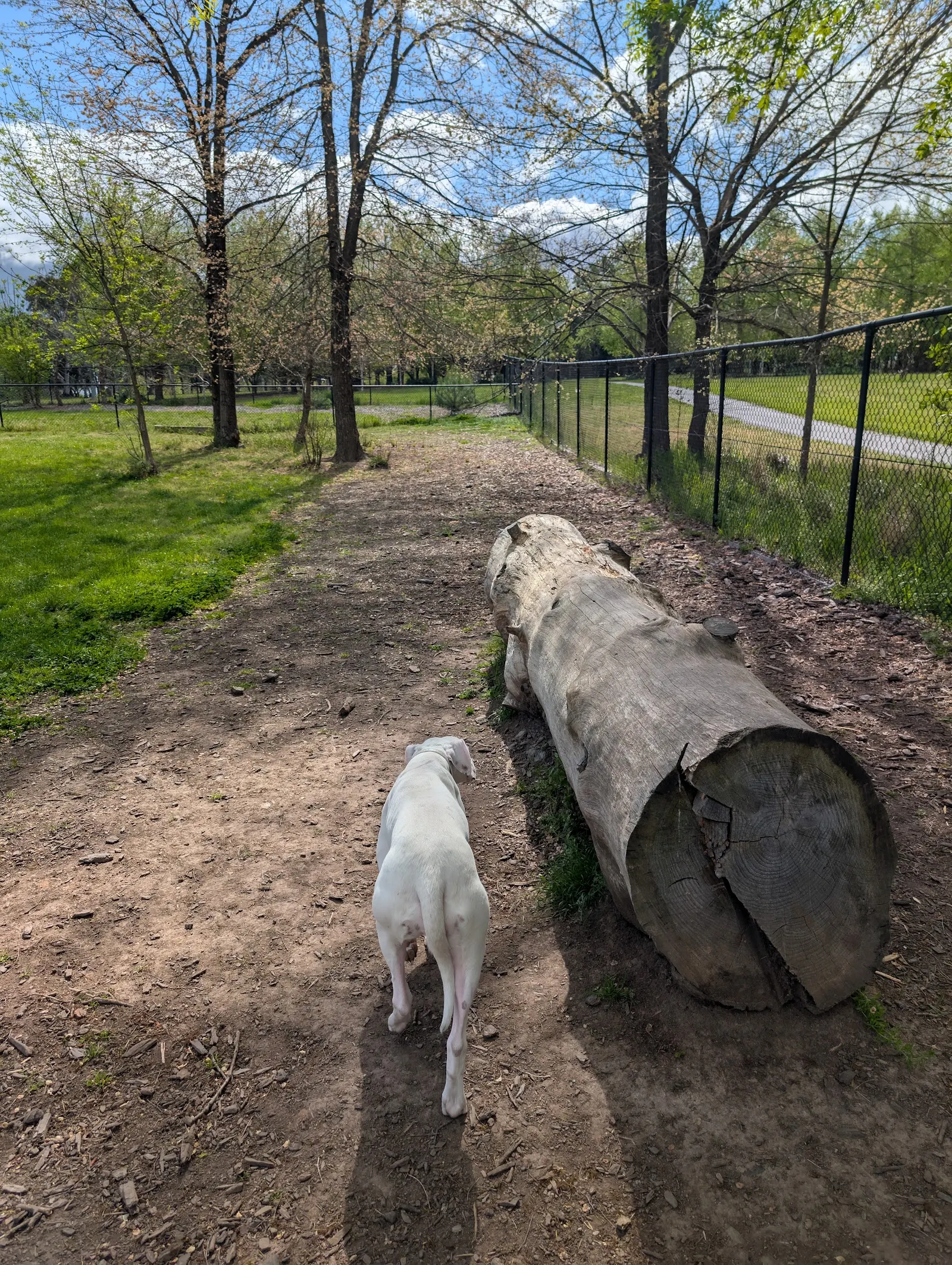 Yarralumla Dog Park dog park