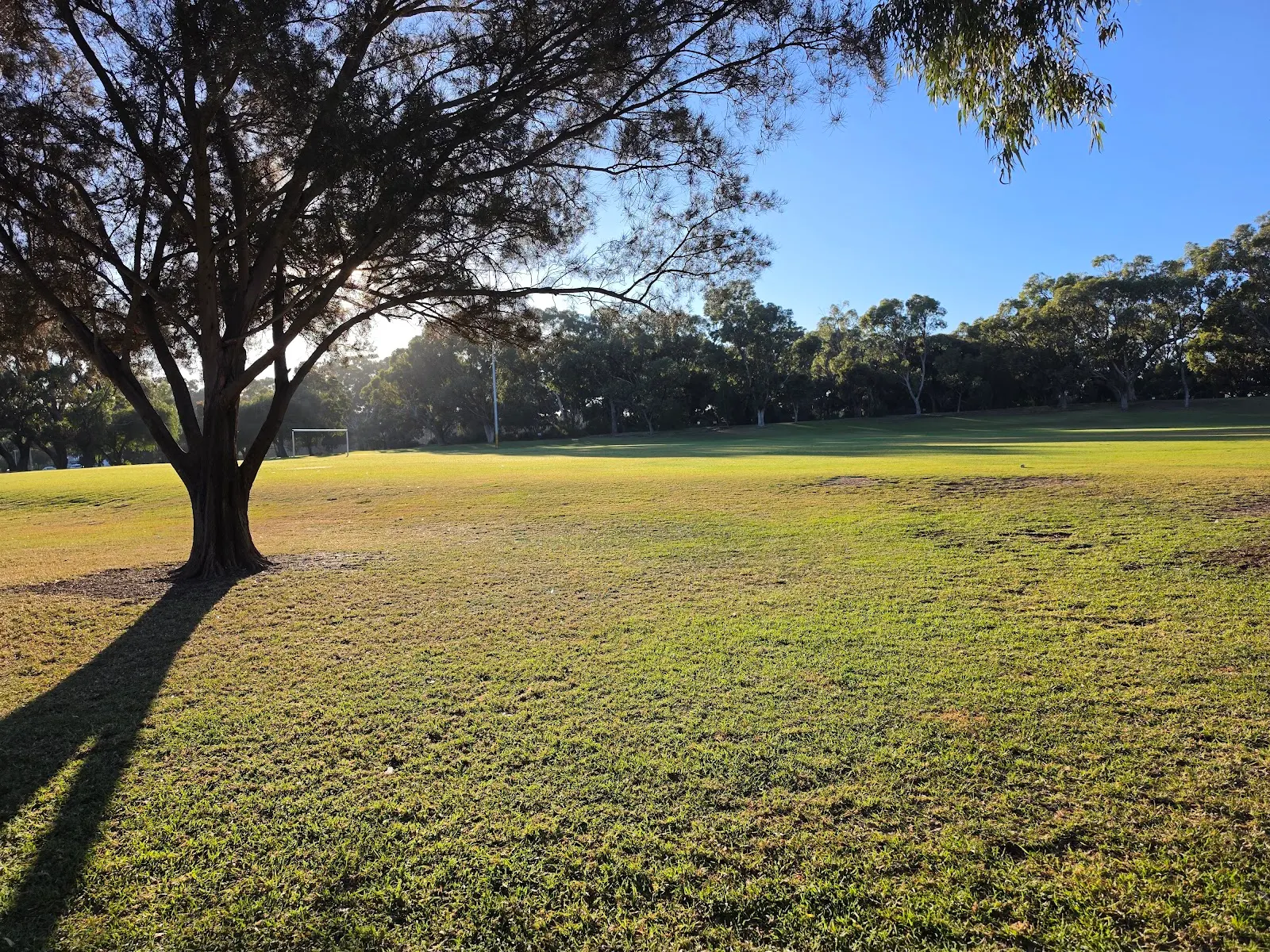Warrandyte Park dog park