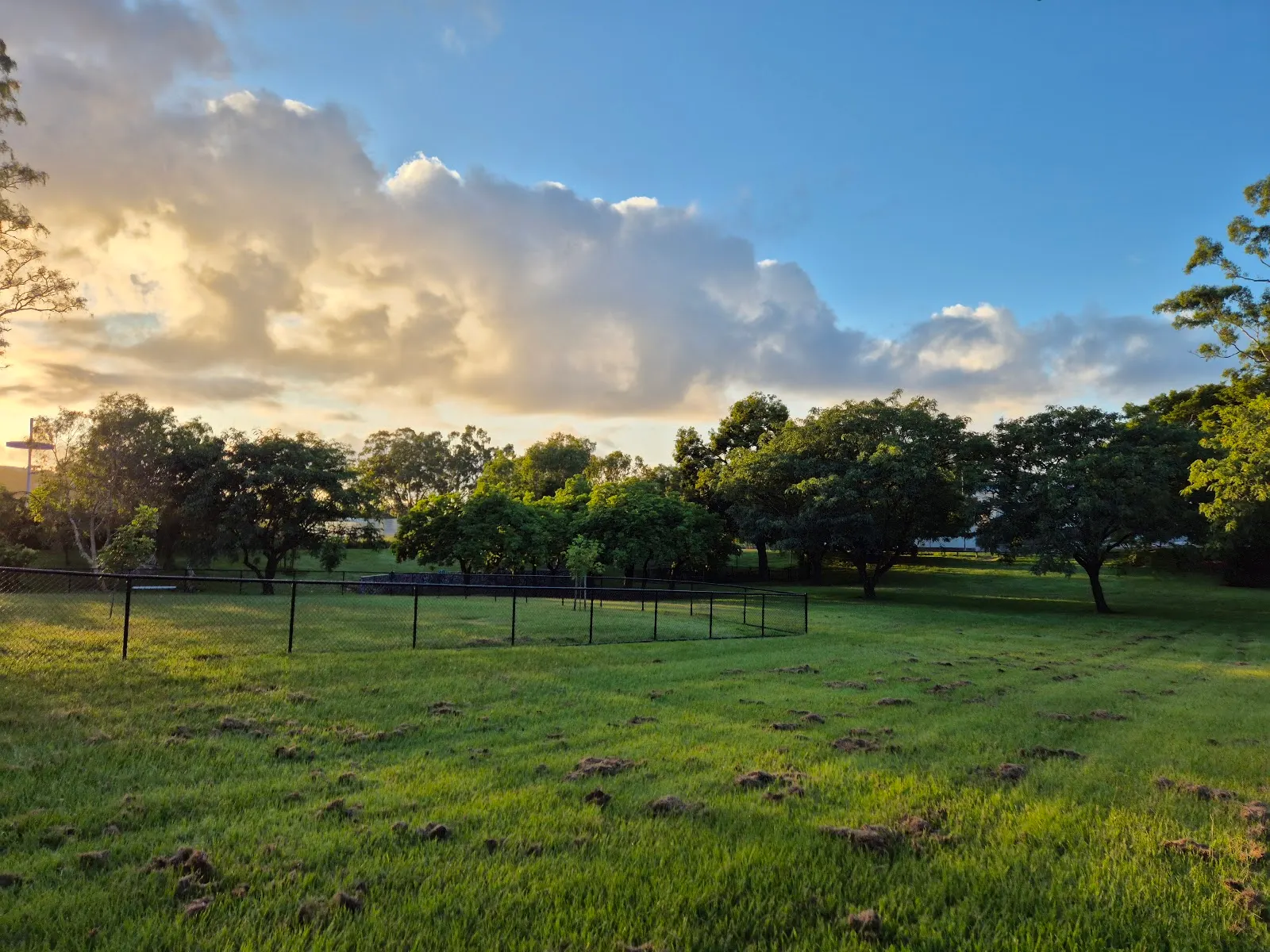 Newmarket Dog Park dog park