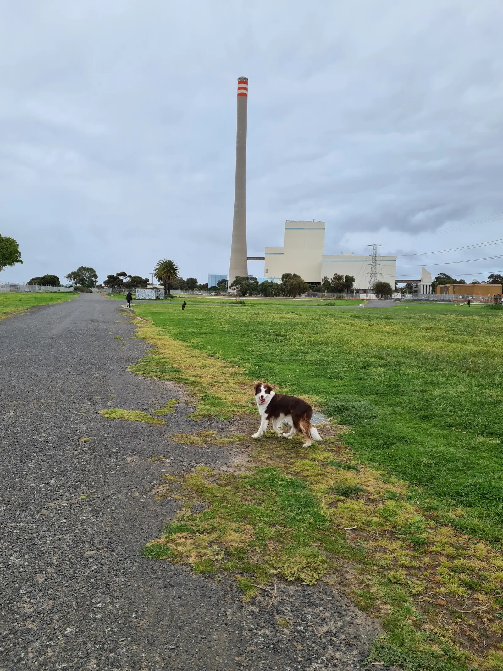 The Warmies Dog Off Leash Area dog park